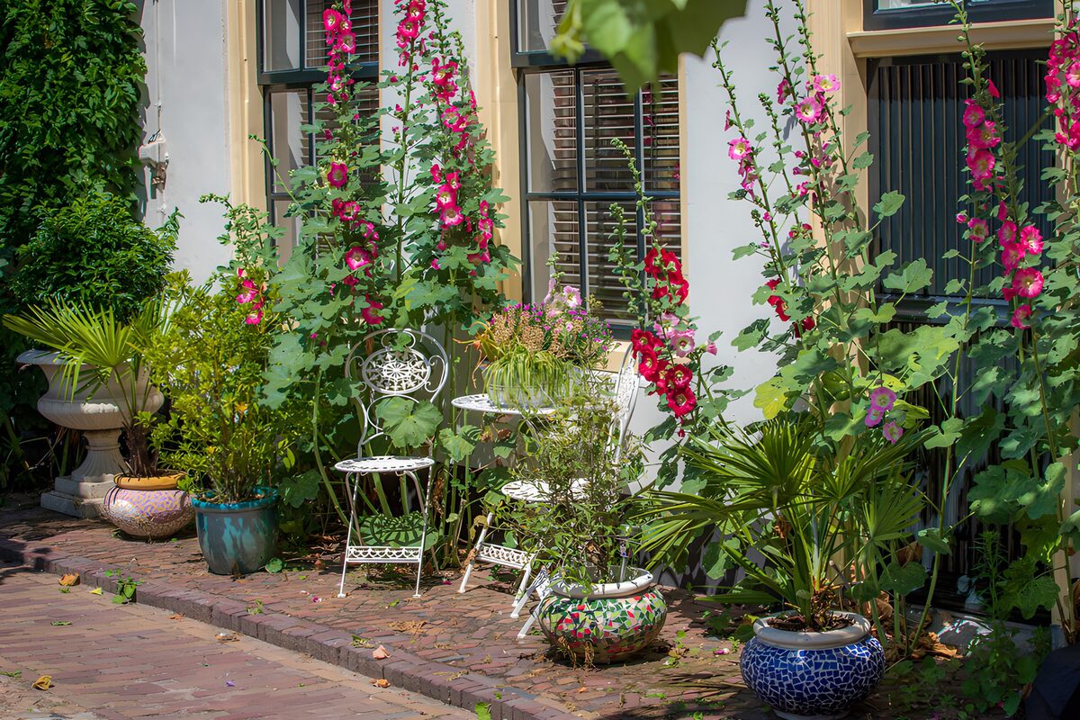 CW6047702: Bloemenpracht in de Tuin