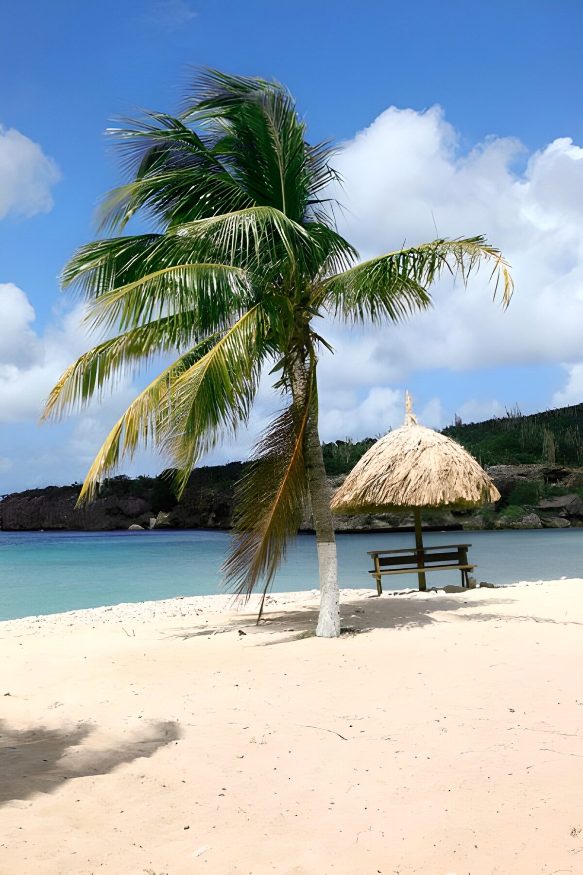 CW3056893: Tropisch strand met palmboom en hut
