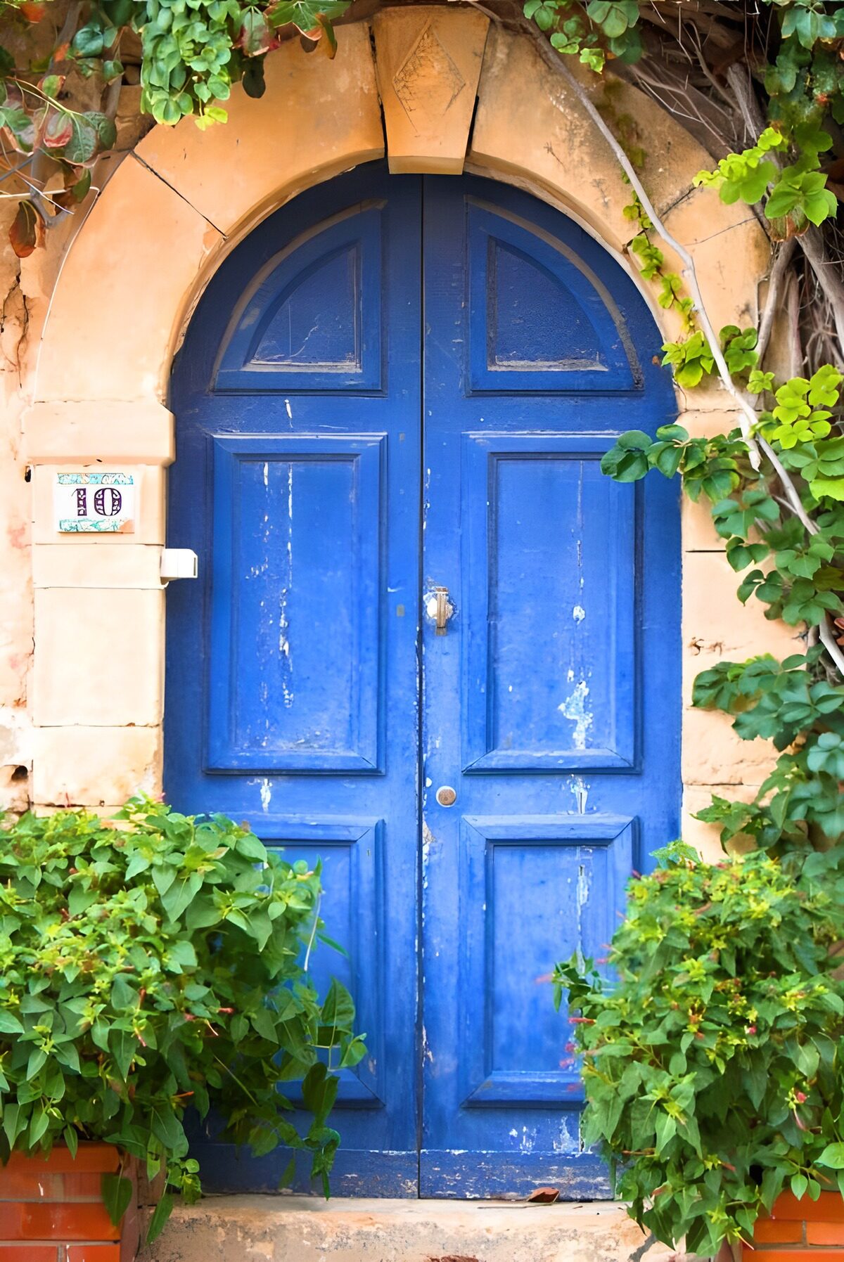 CW8808210: Blauw Deurtje omringd door Groen