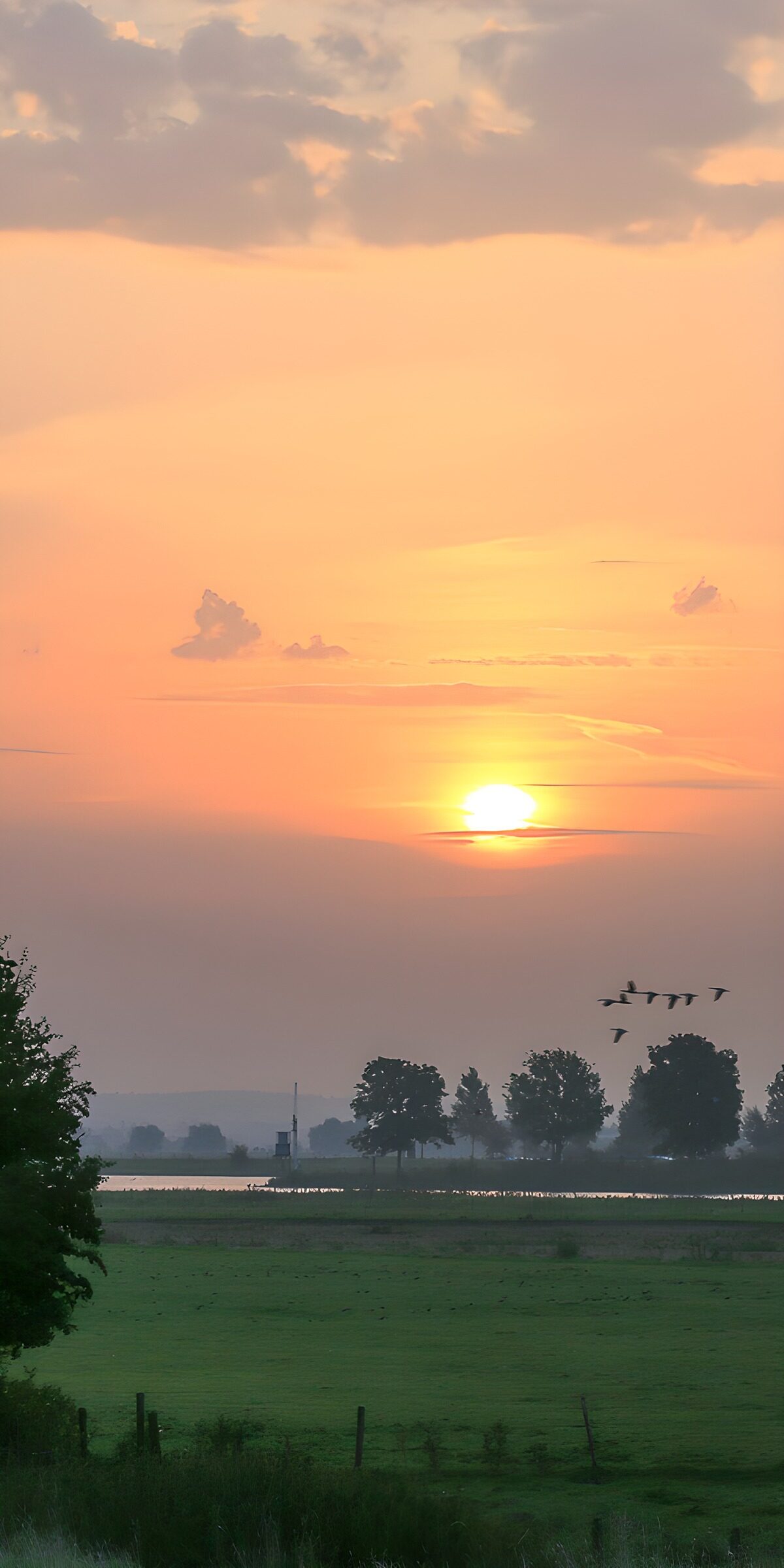 CW8895455: Zonsopgang boven rustig landschap