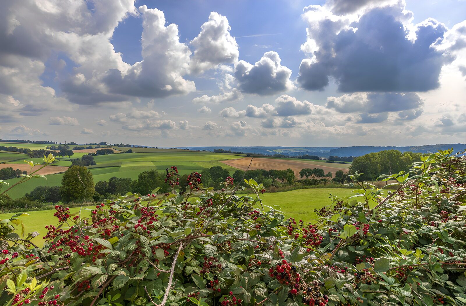 CW8281233: Prachtig uitzicht op glooiend landschap