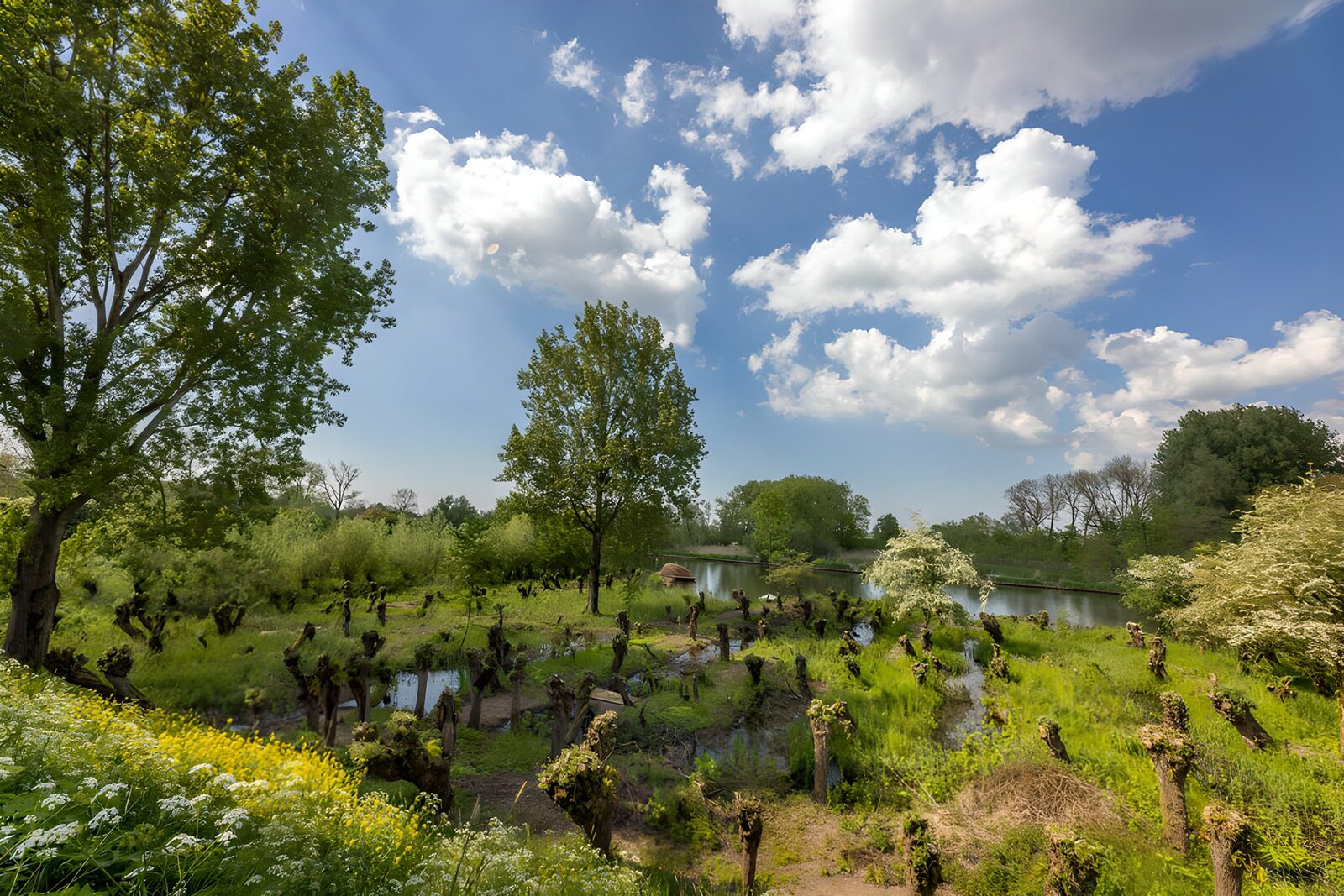 CW1236986: Rustige natuur bij het water
