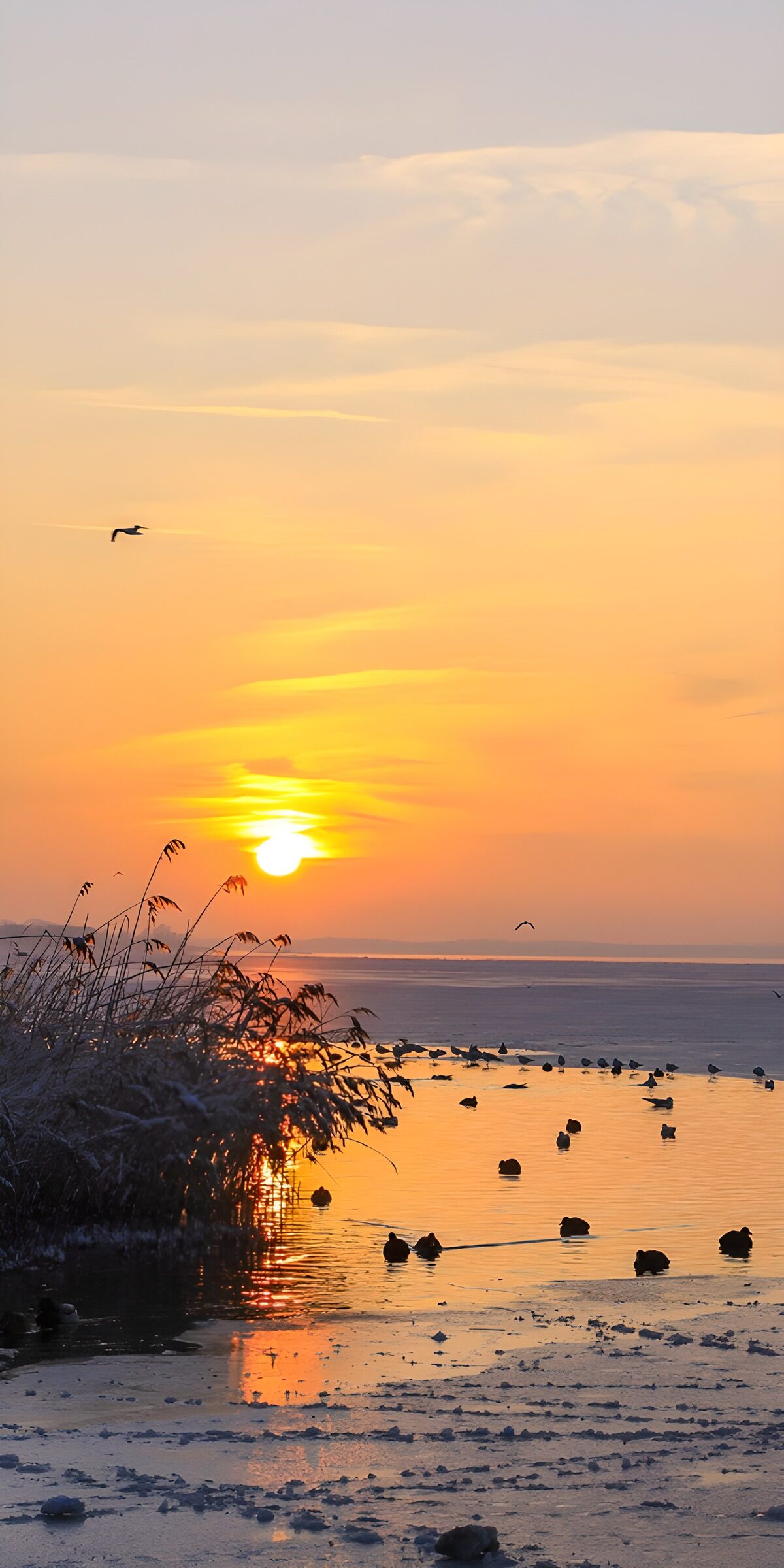 CW2642560: Zonsopgang boven het winterse water