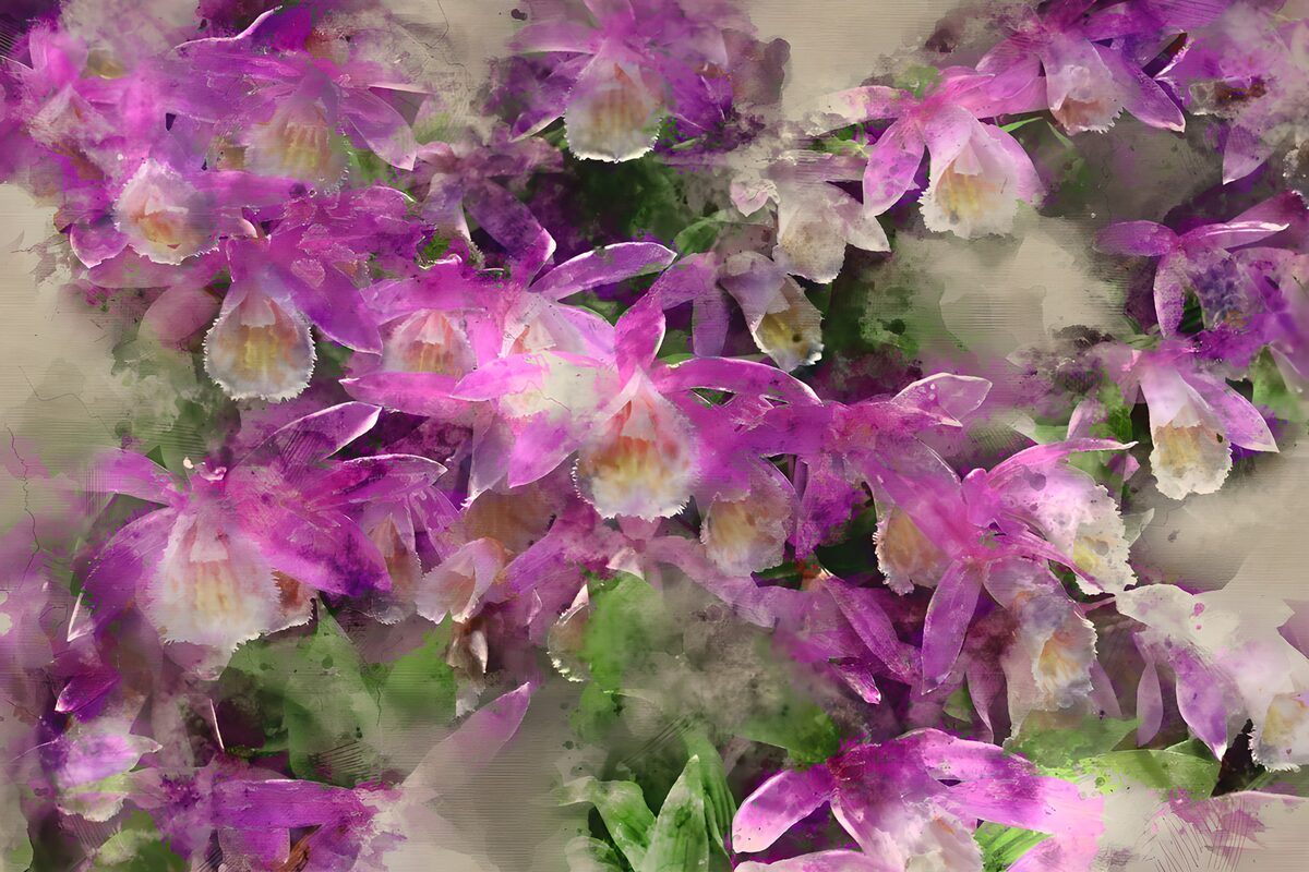 Kleurige Orchideeën in Waterverf