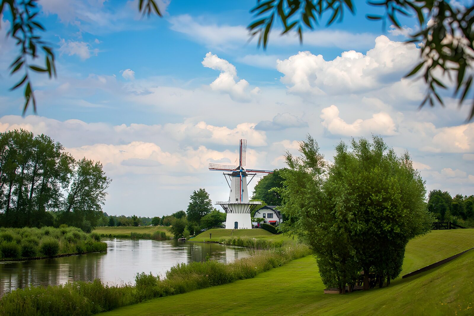 CW4411269: Prachtige molen bij de rivier