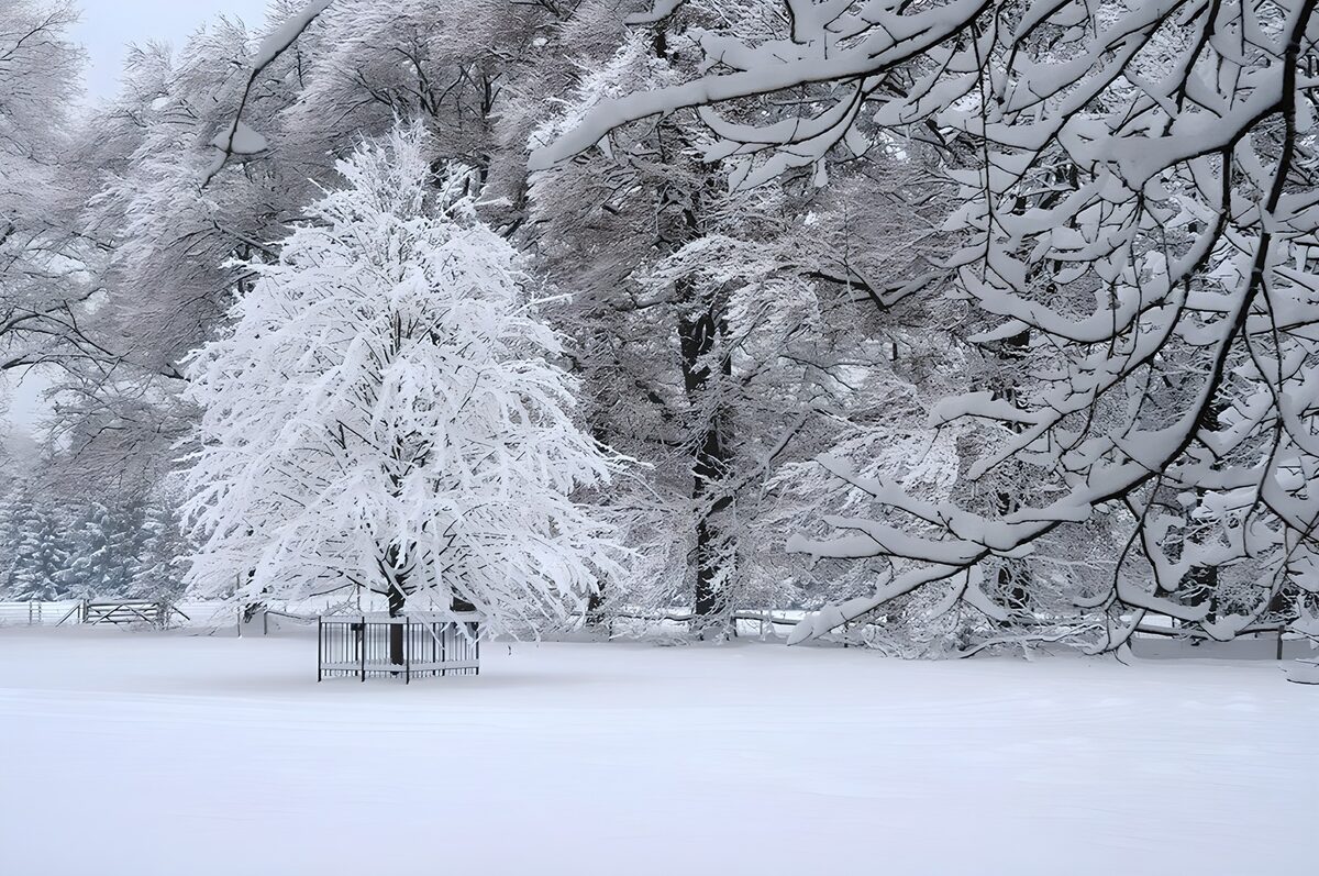 Betoverend winterlandschap met sneeuw