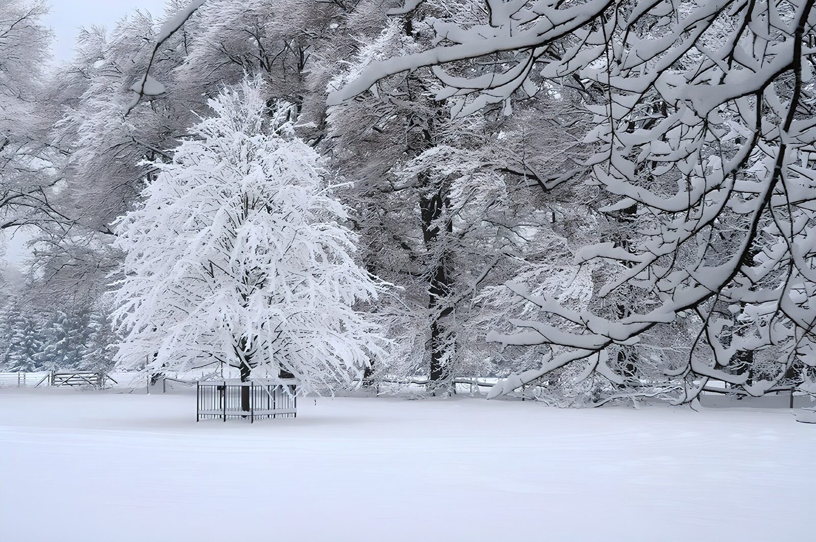 CW1718687: Betoverend winterlandschap met sneeuw