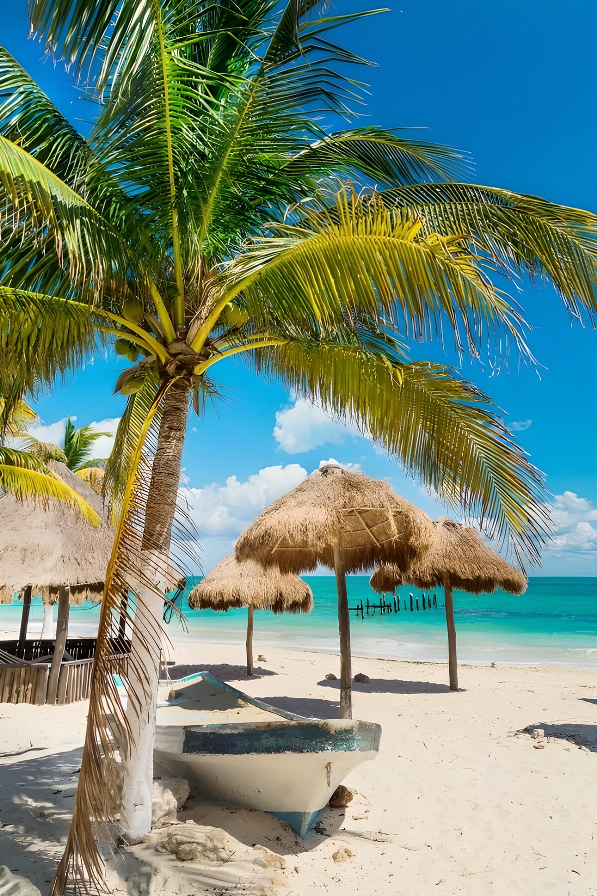 CW2456433: Tropisch strandparadijs met palmbomen