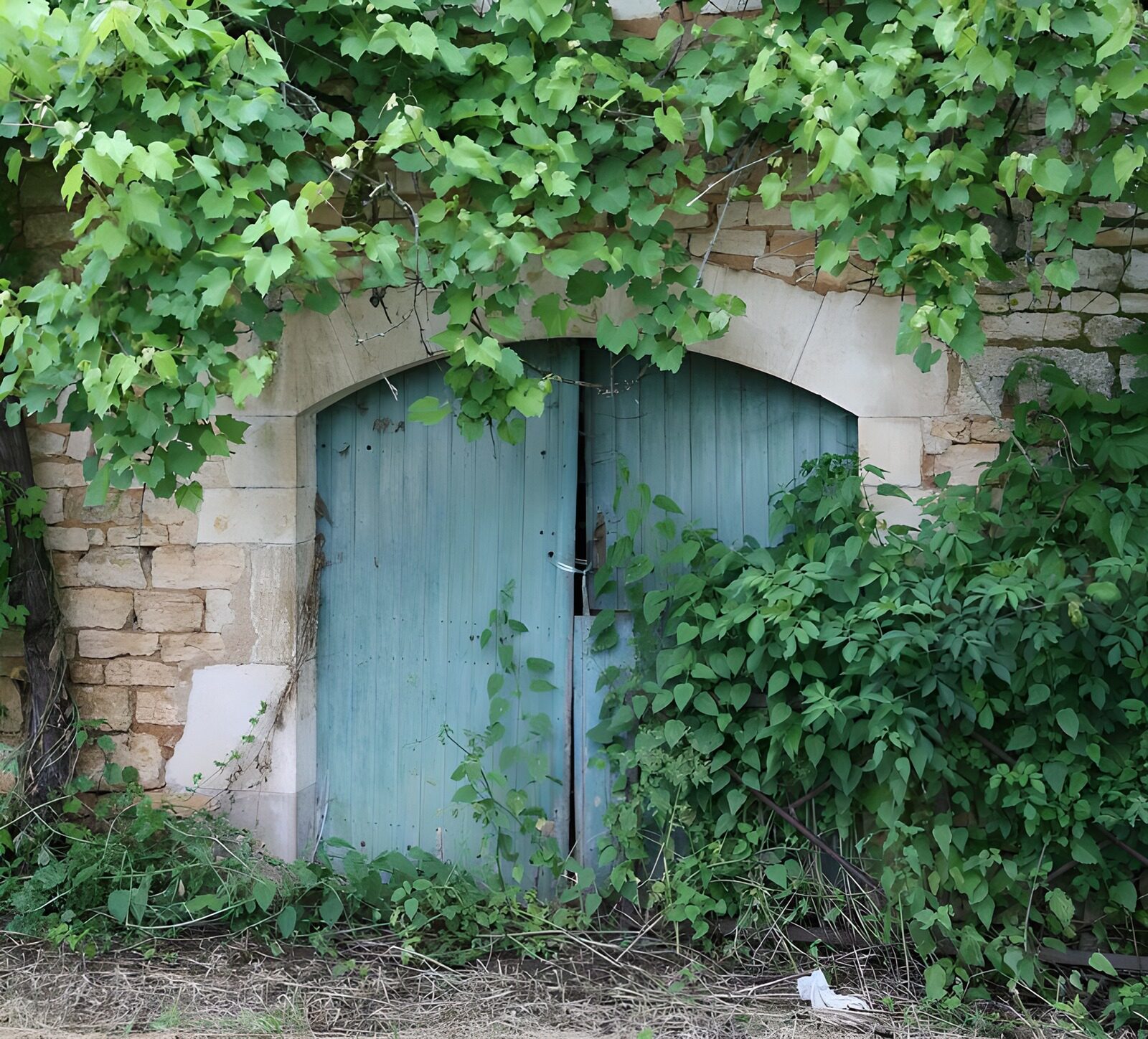 CW7411558: Groene deur omarmd door natuur