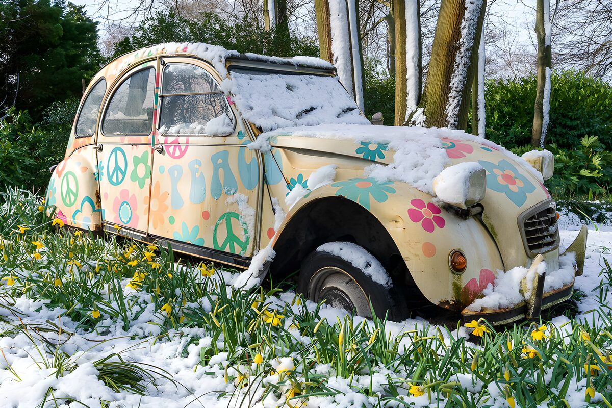 Kleurrijke auto bedekt met sneeuw