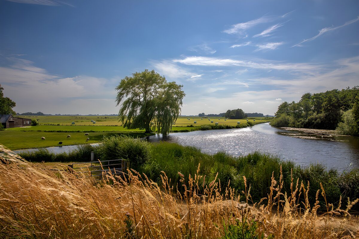 CW2760642: Rustiek Landschap met Rivier en Bomen