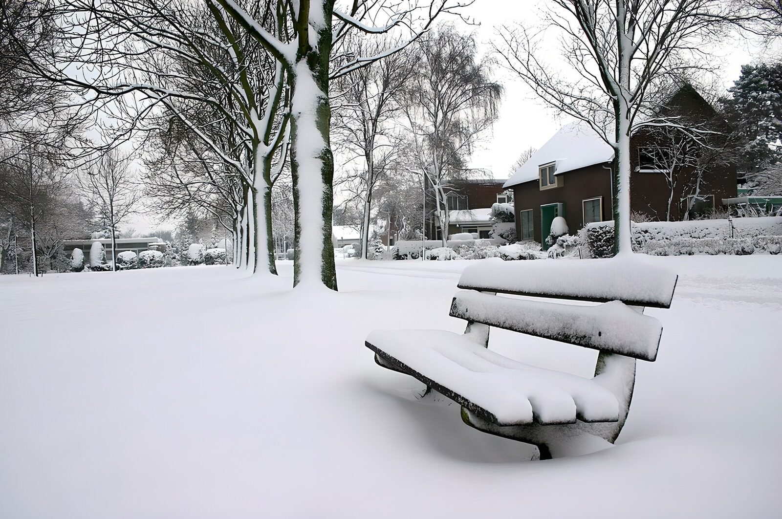 CW2965447: Sneeuwbedekte bank in winterlandschap
