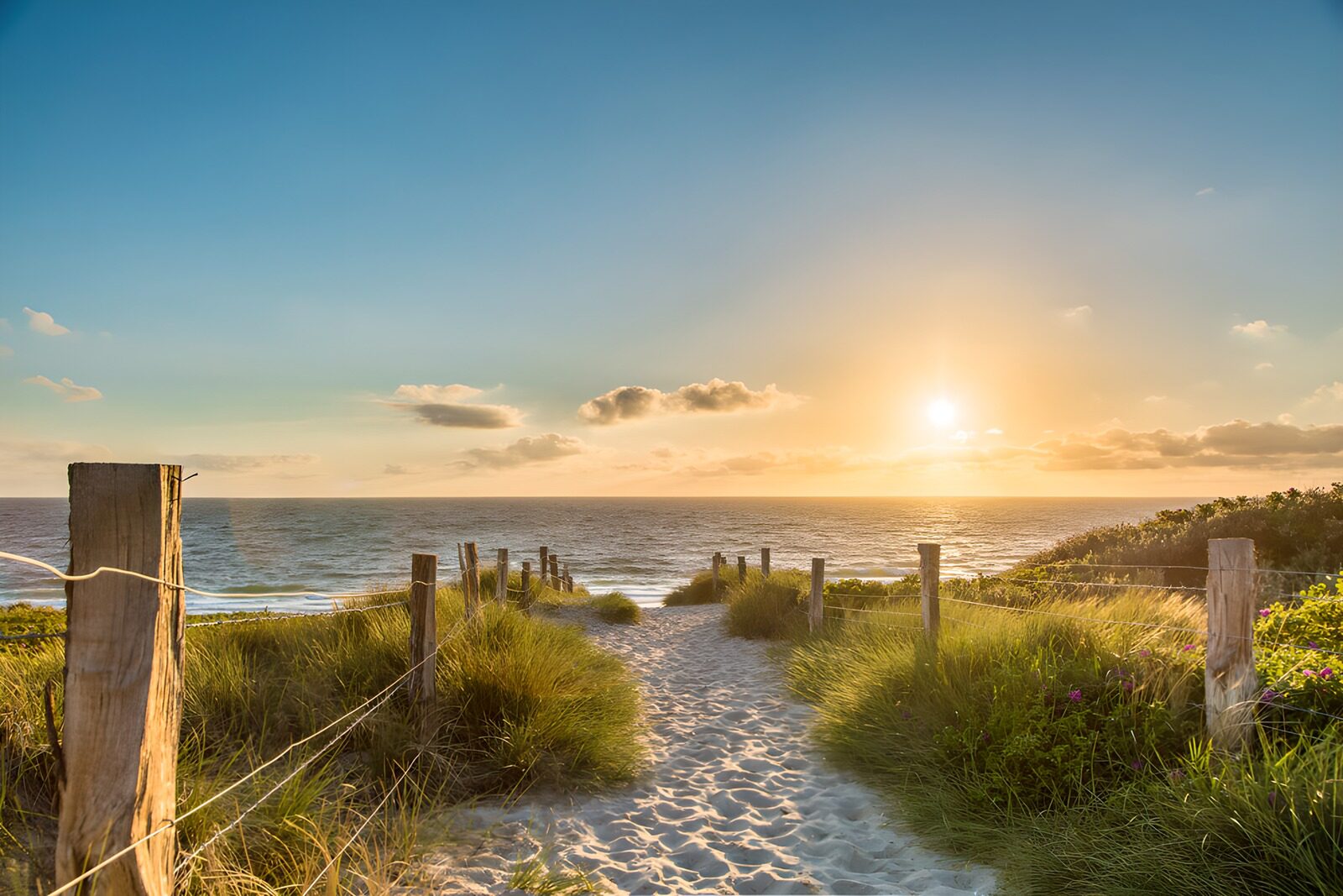 CW6248510: Zonnige Dag op het Strand