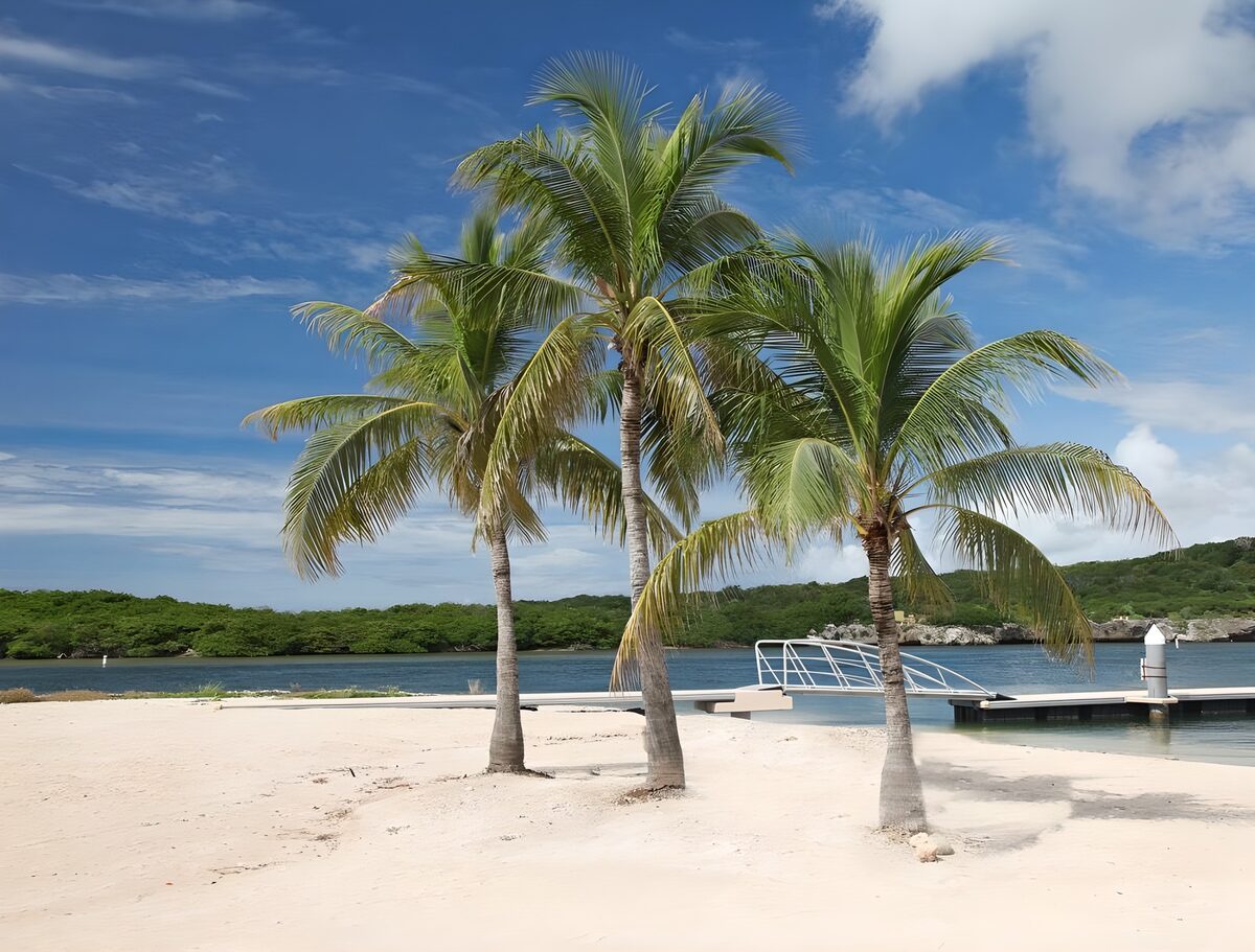 Palmbomen aan een tropisch strand