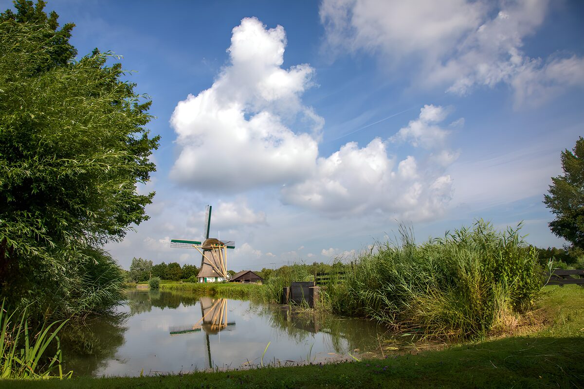 CW4920132: Molens en natuur onder een blauwe lucht