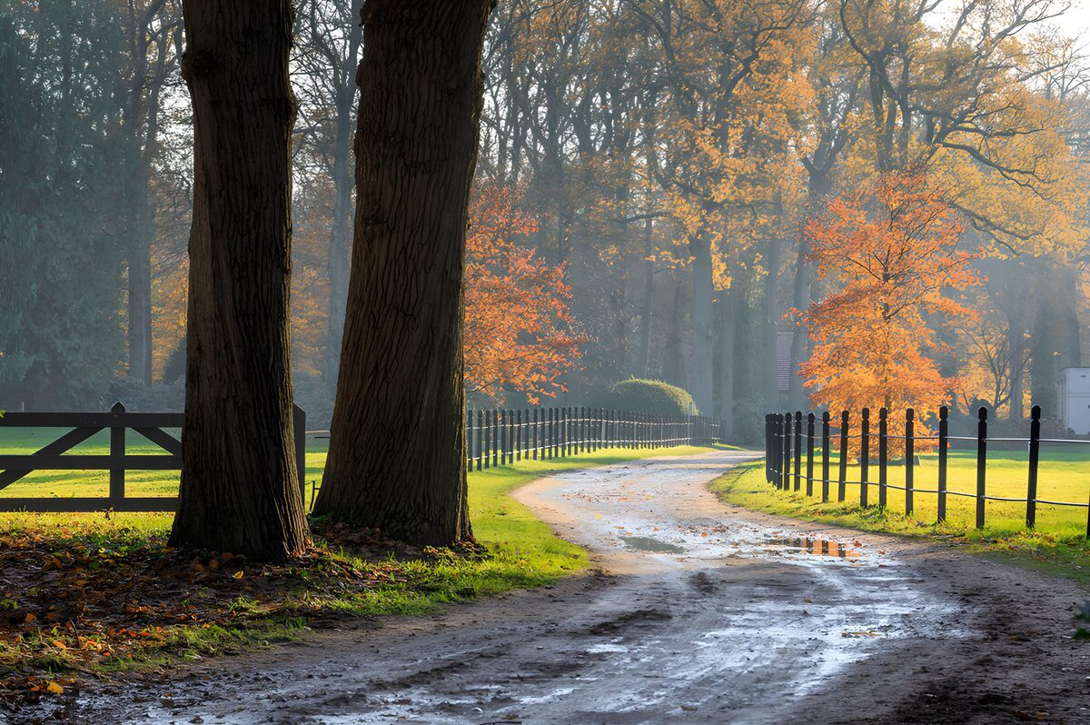 Herfstwandeling langs een kronkelige weg