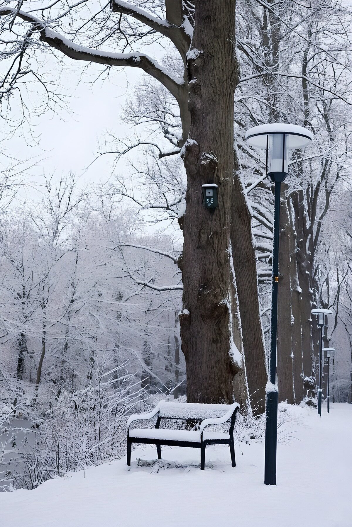 Winterse rust aan de waterkant