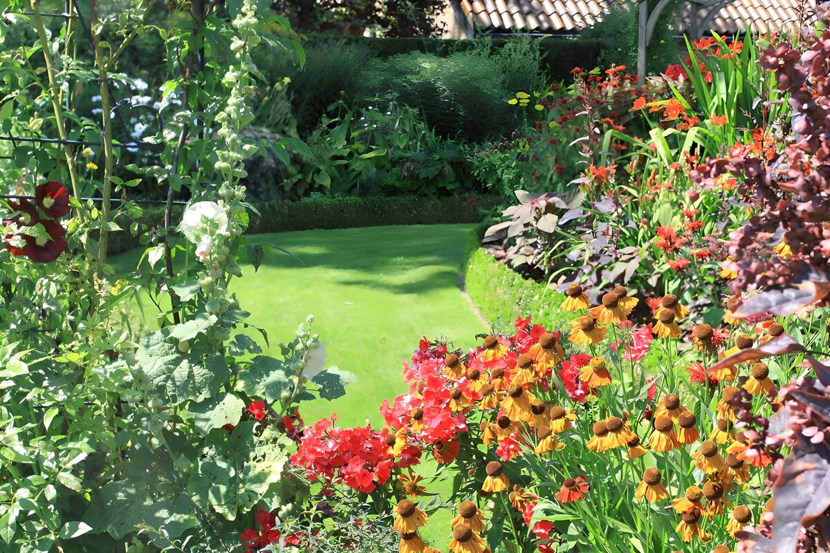 Kleurrijke bloementuin in de zomer