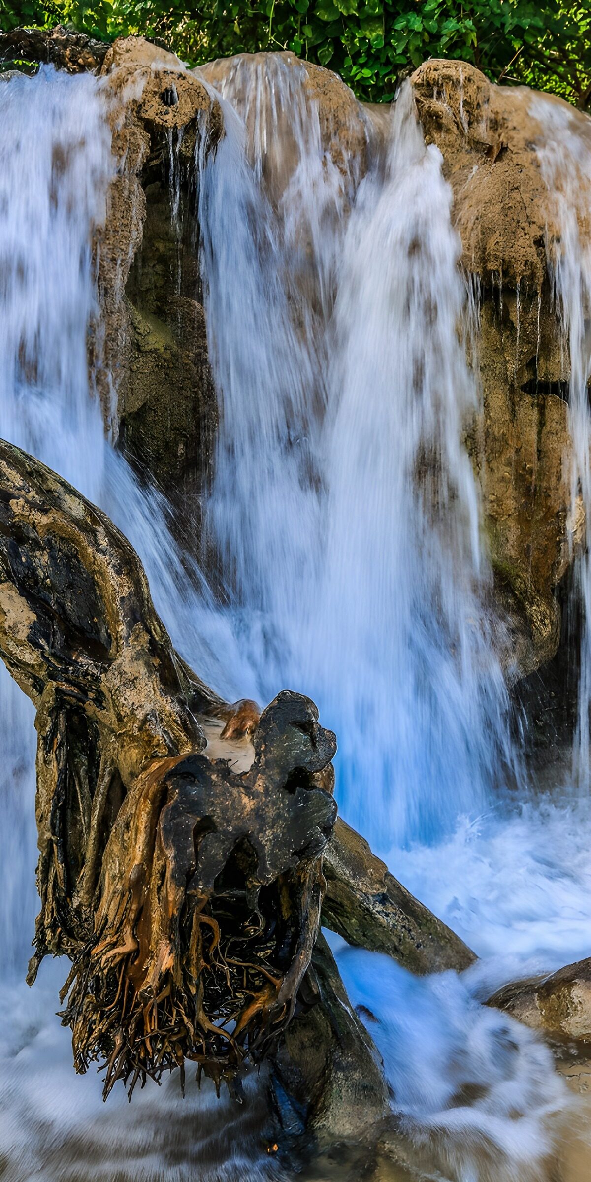 Waterval met Wortels