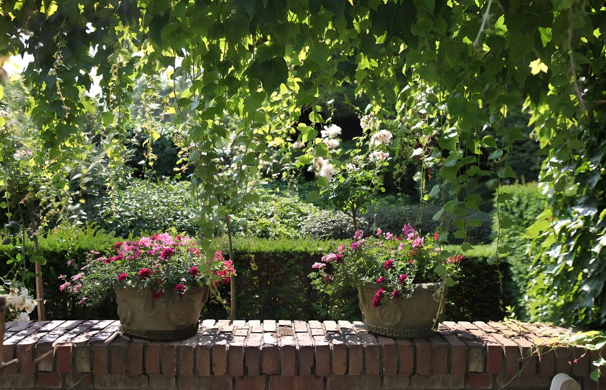 CW6481017: Bloeiende Planten in een Groene Tuin