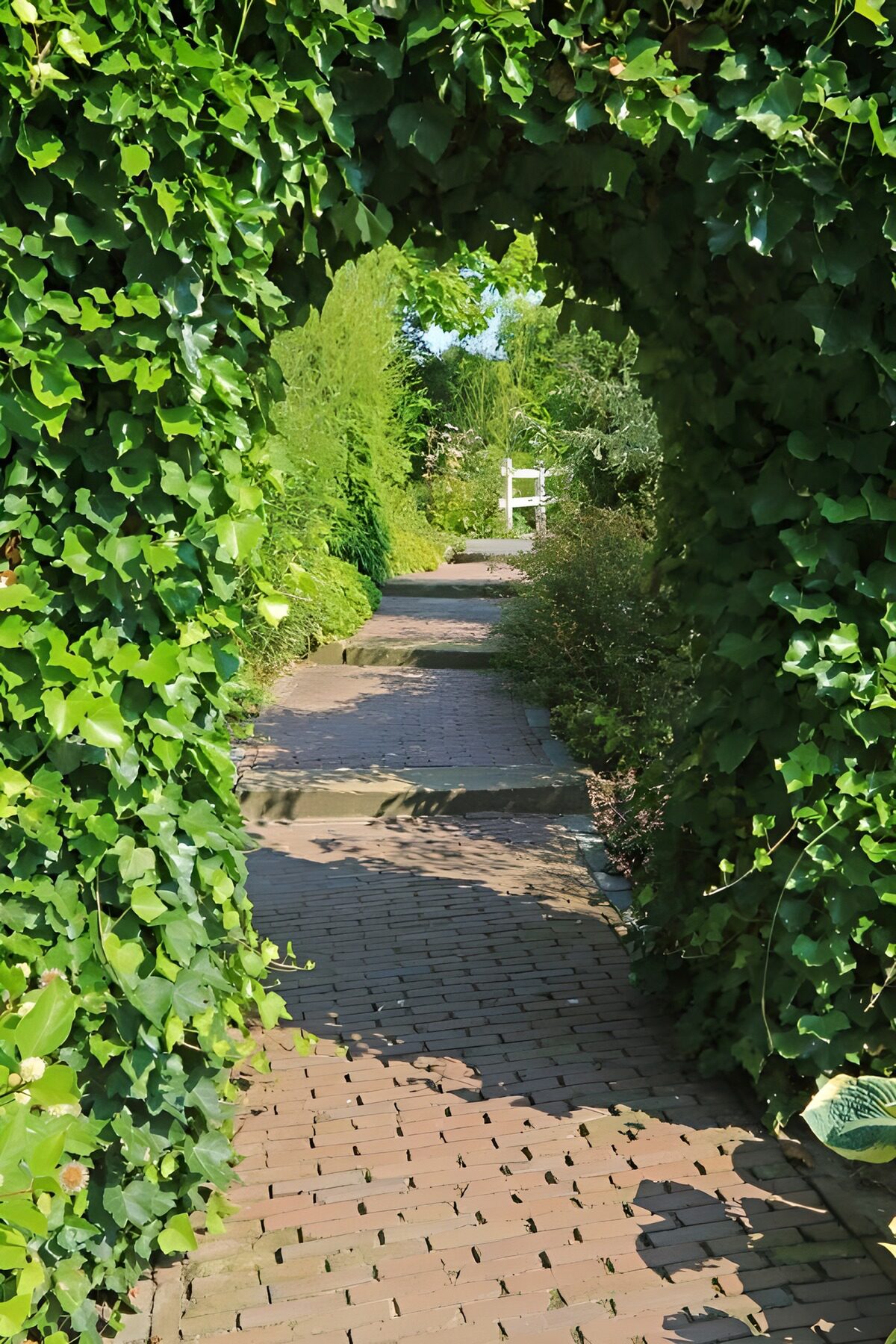 CW7693096: Groene Poort naar een Rustige Tuin