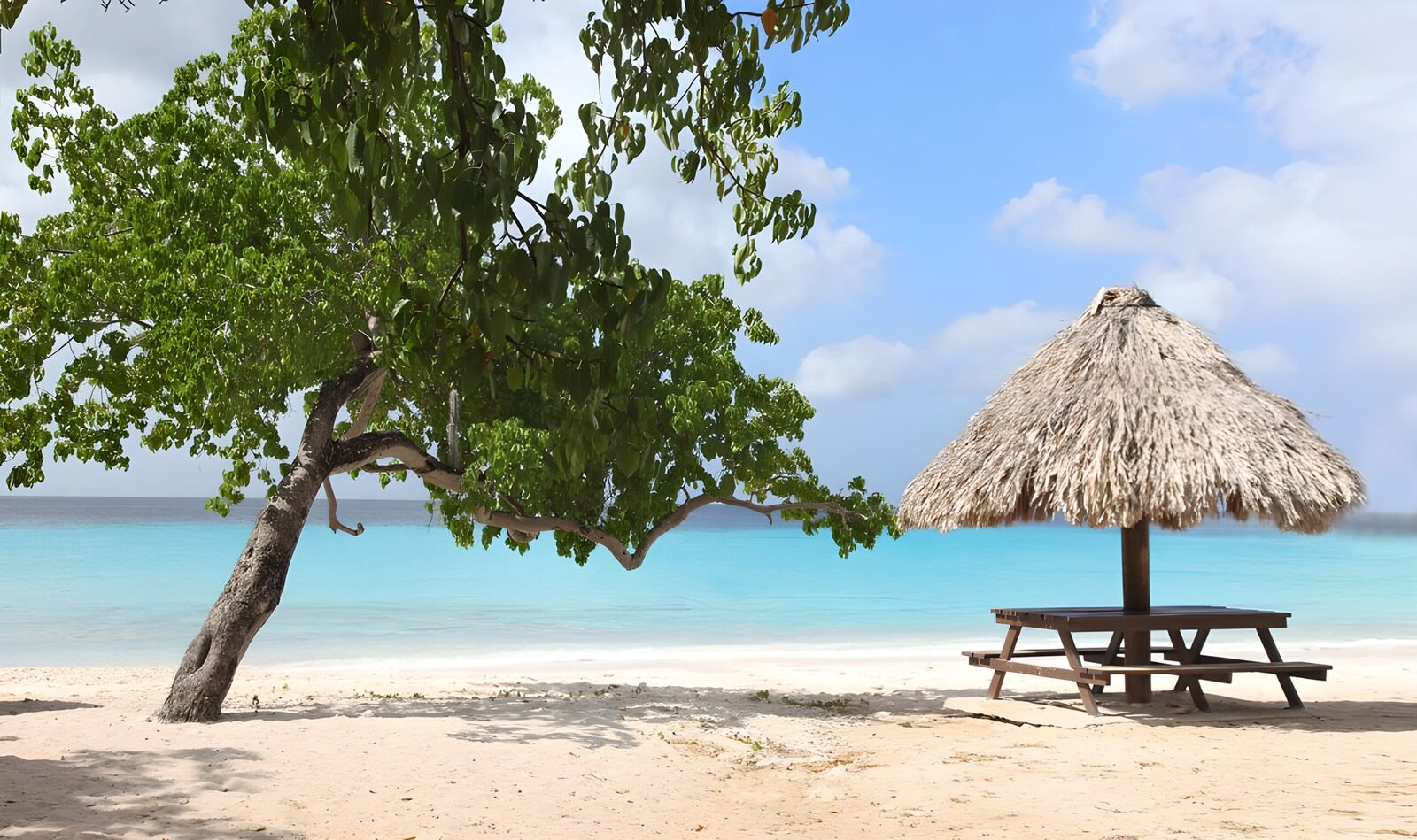 CW1983171: Ontspannen strand met palmschuilplek