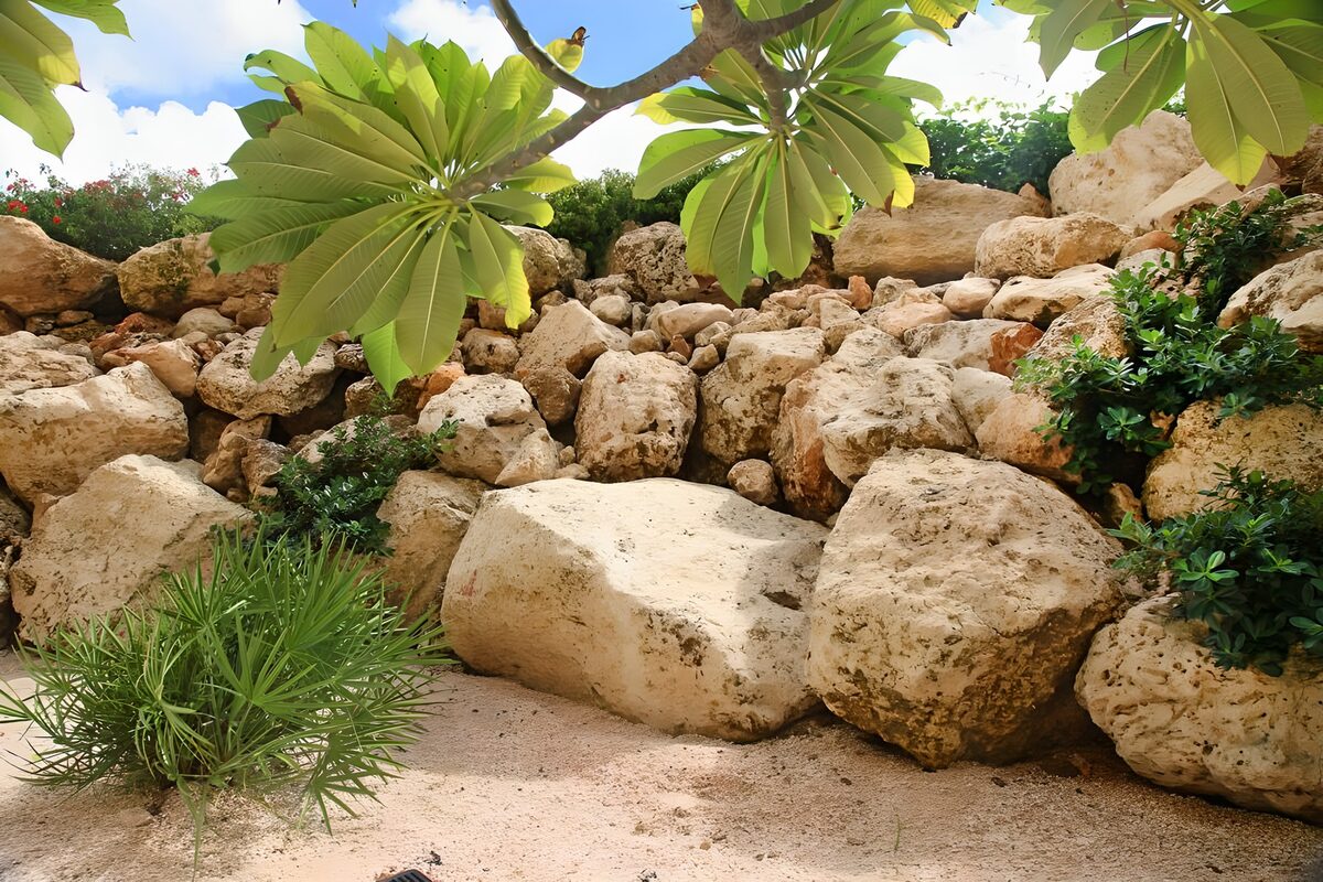 Rustige Tuin met Natuurlijke Rotspartijen