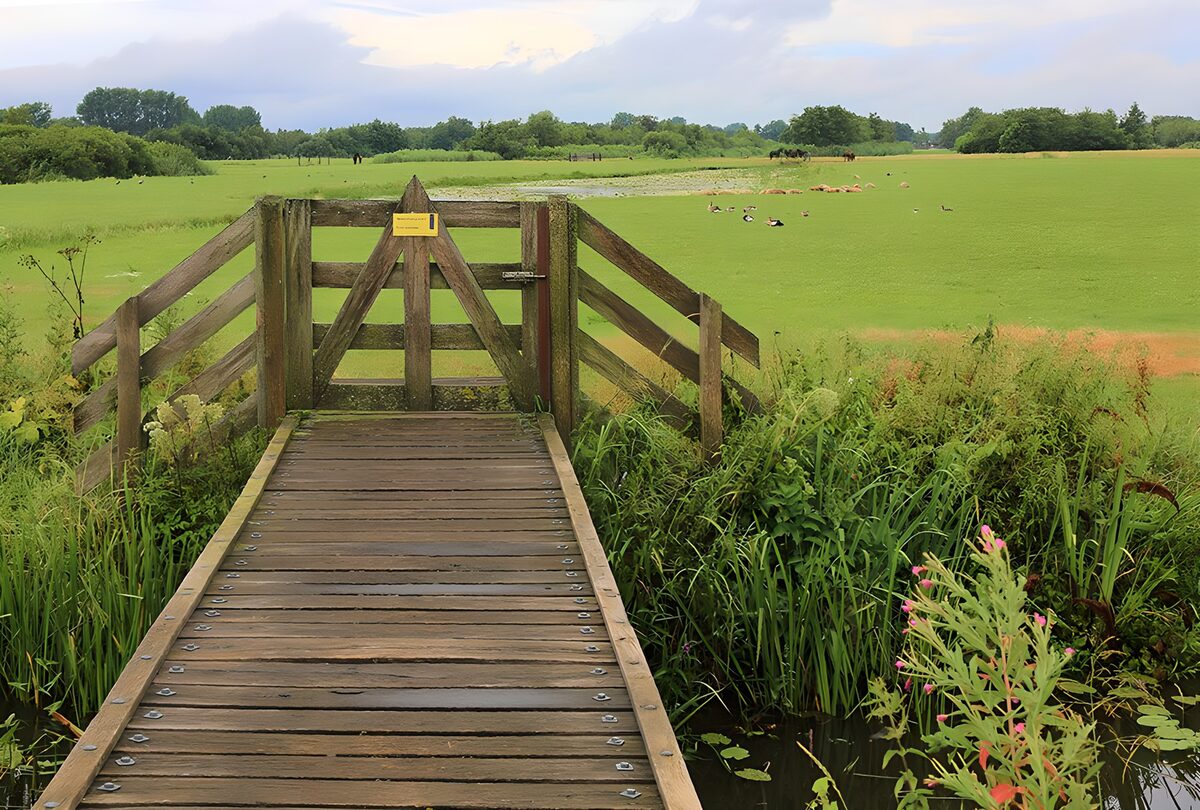 Toegangspoort naar het groene veld