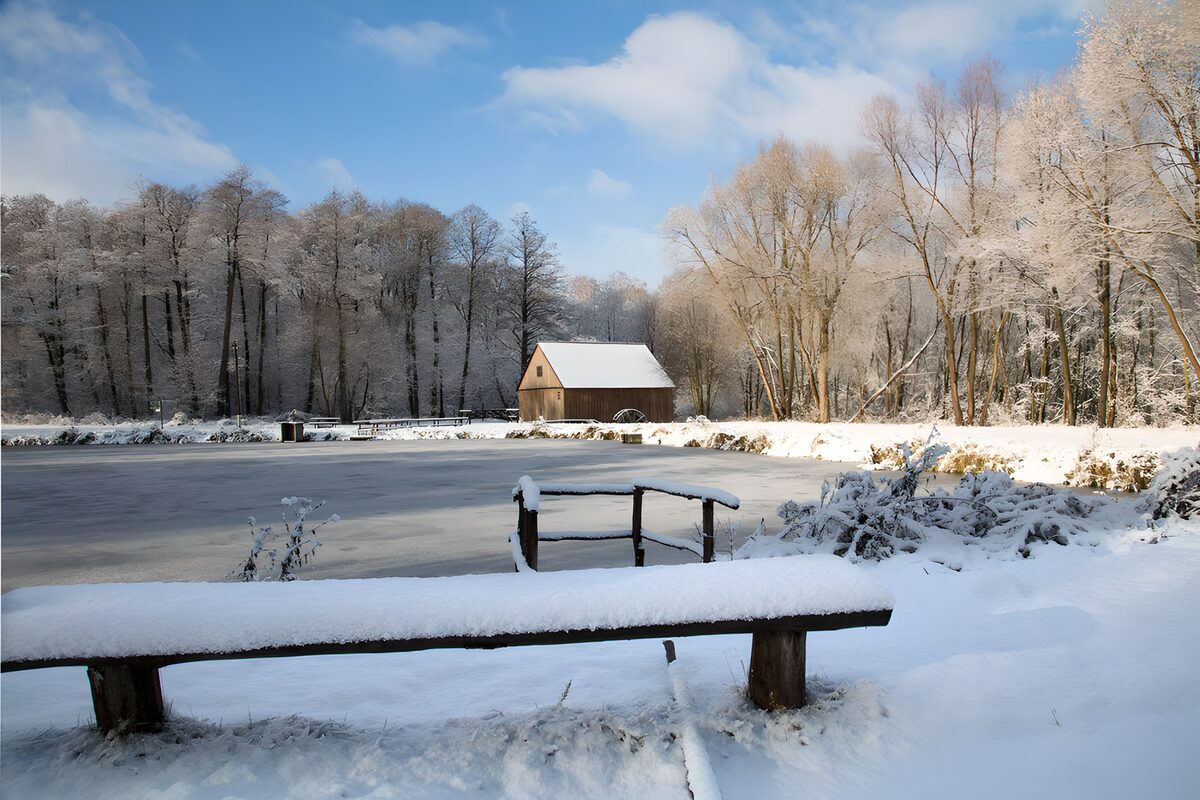 Sneeuwlandschap bij het meer