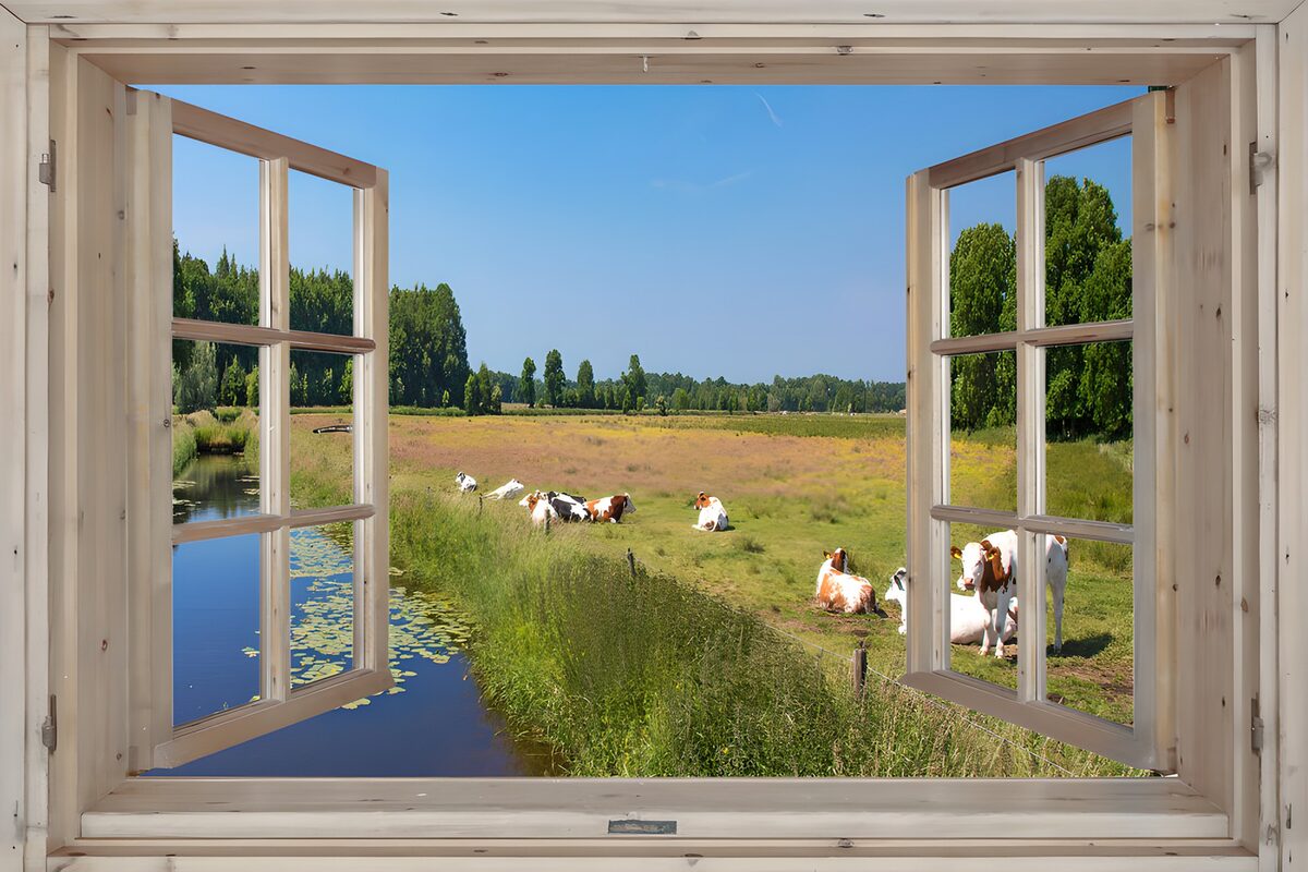 Uitzicht op een groene weide met koeien