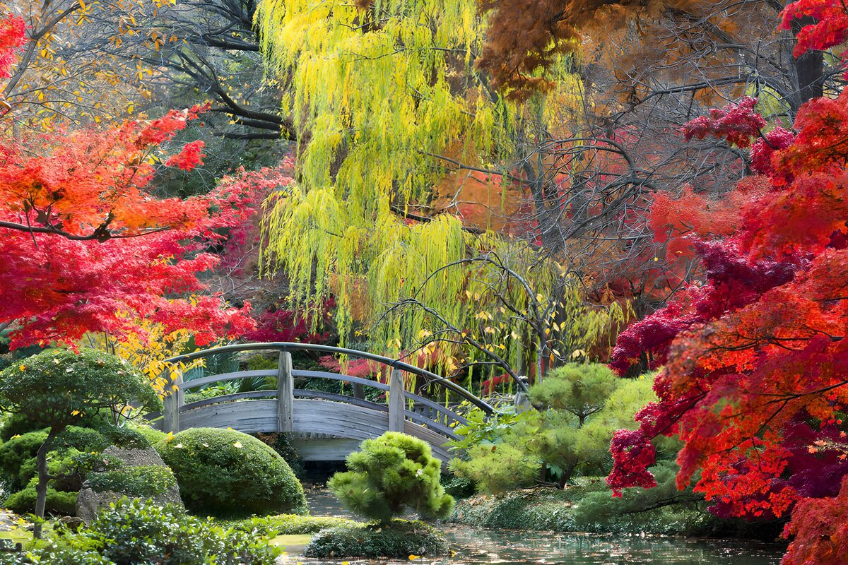 Prachtige herfstdkleurige tuin