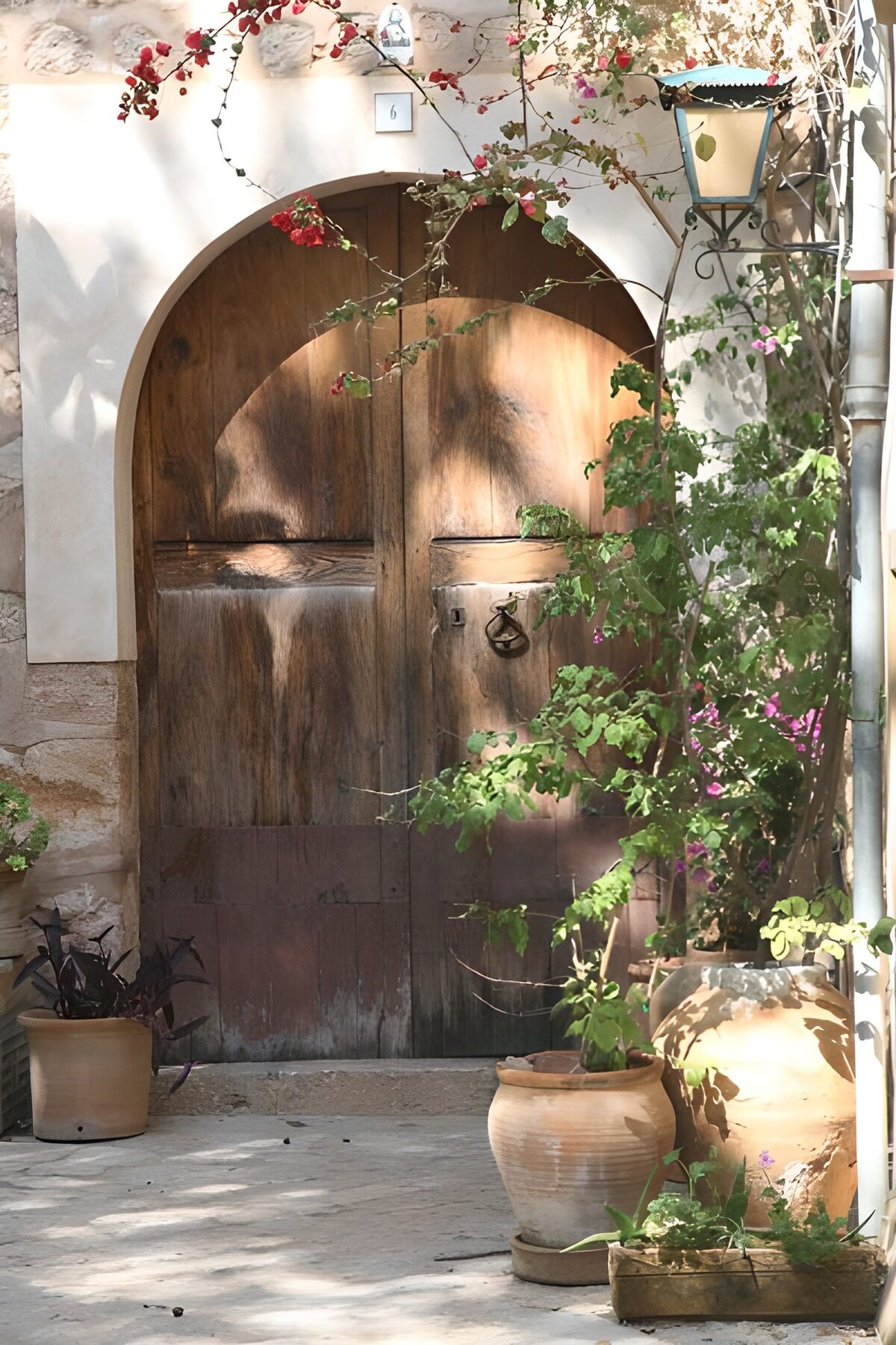 Charmante houten deur met planten