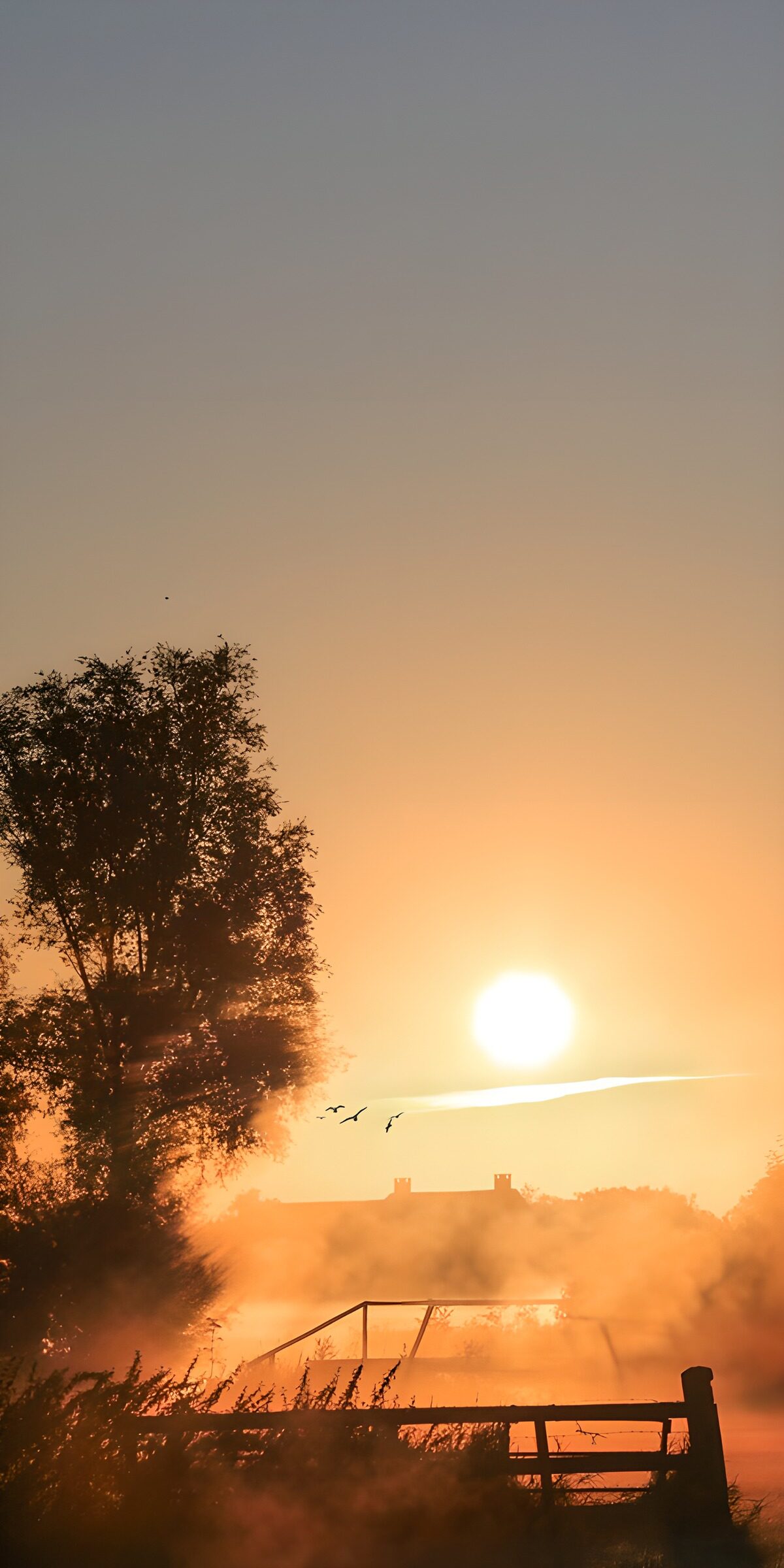 CW4547811: Zonsopgang boven mistig landschap