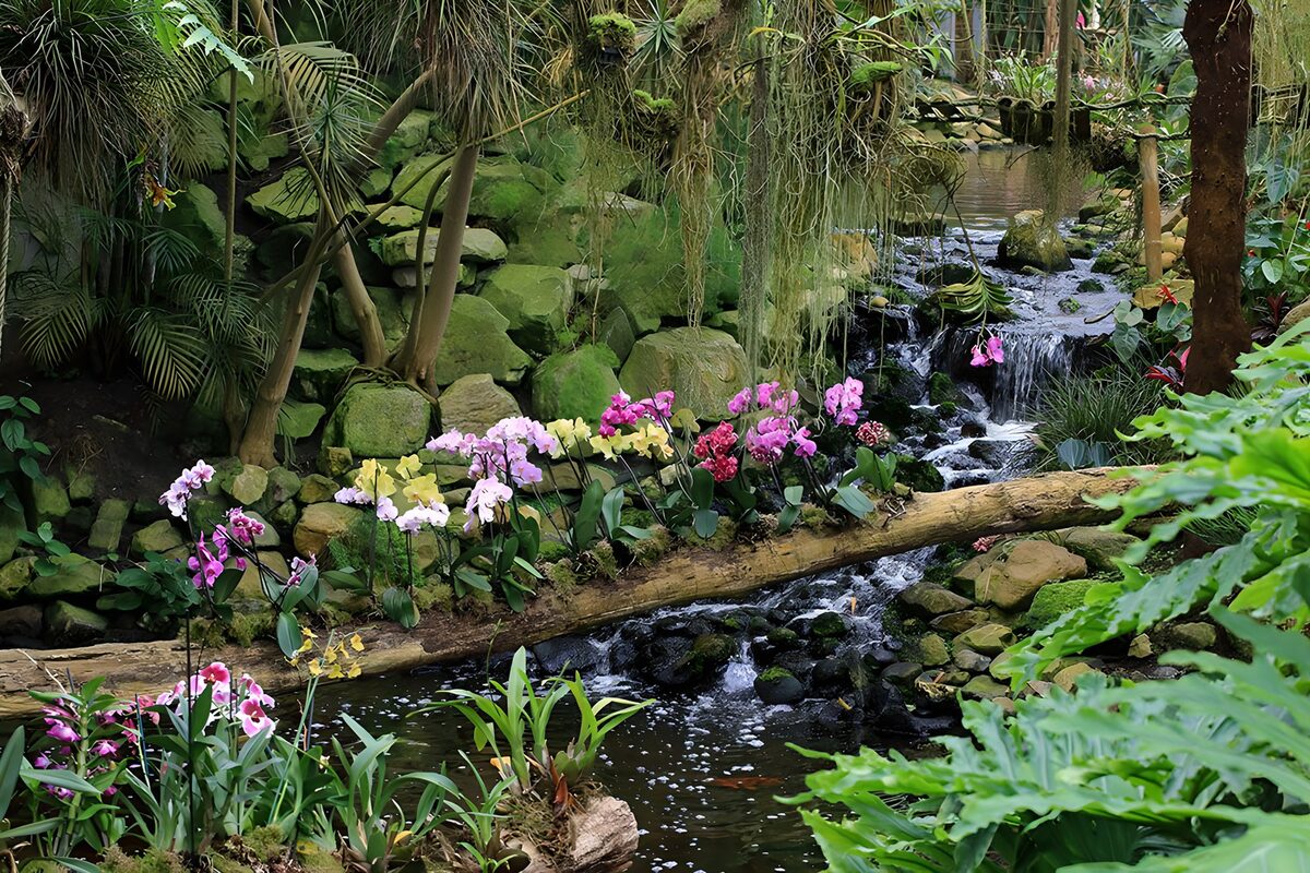 Sprookjesachtige Orchideeënrijke Tuin