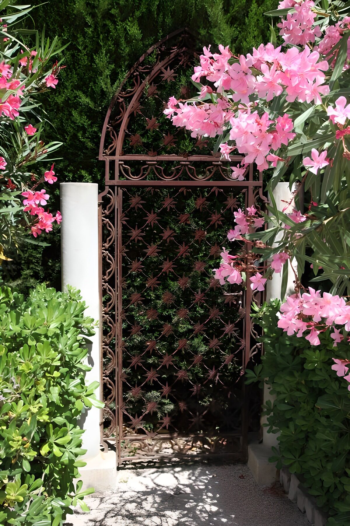 Sierlijke poort omringd door bloemen