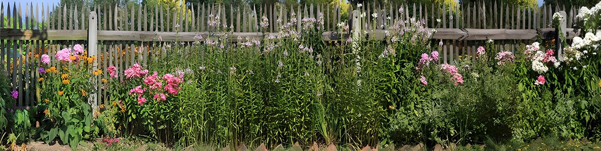 Kleurrijke bloementuin bij een houten hek