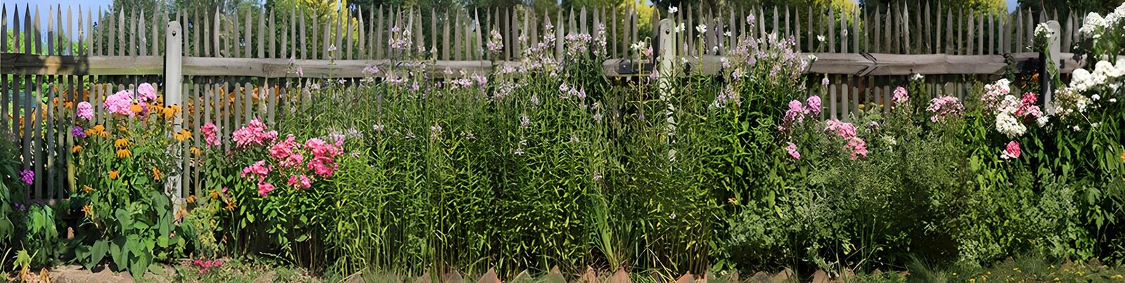 CW7620272: Kleurrijke bloementuin bij een houten hek