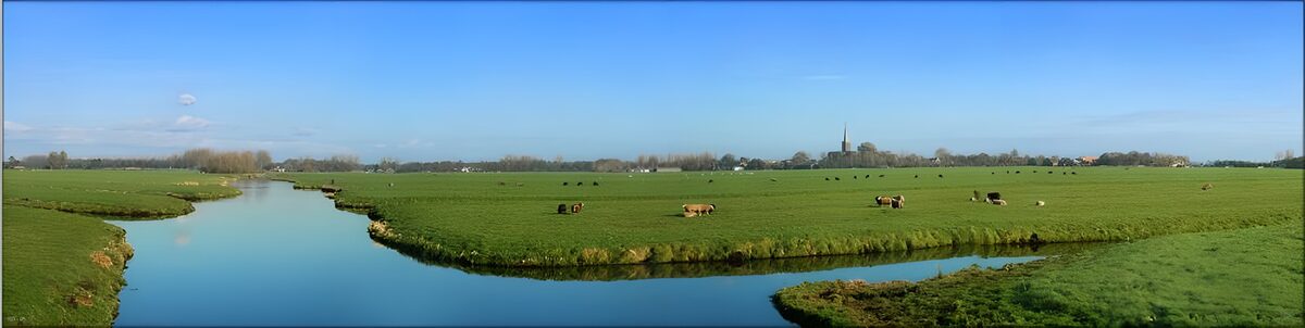 Pittoresk Nederlands Landschap met Koeien