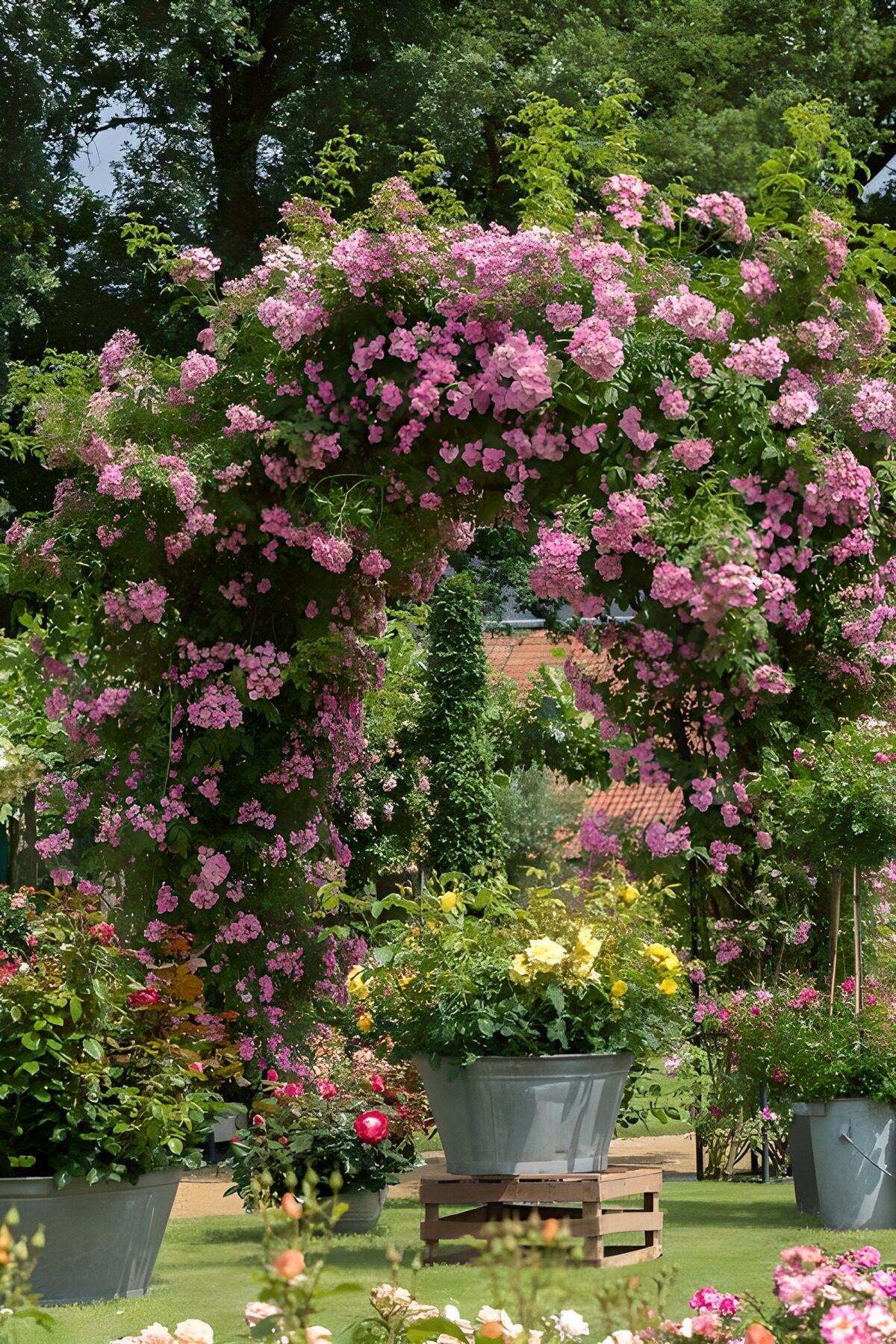 Rozenboog in een kleurrijke tuin