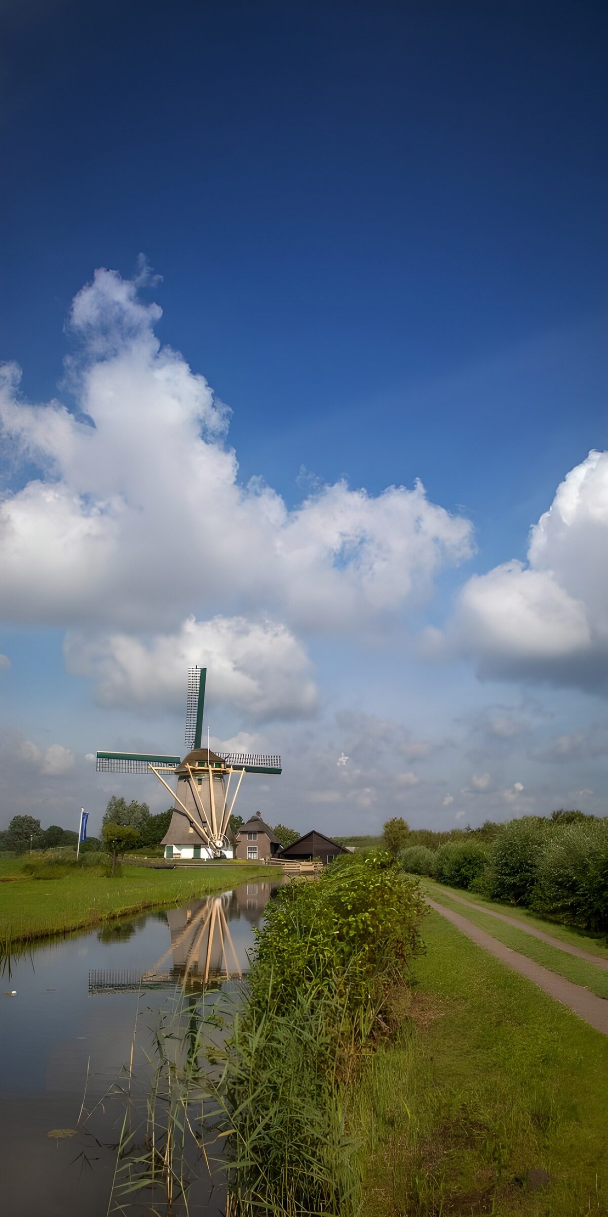 CW1598301: Molens en natuur onder een blauwe lucht