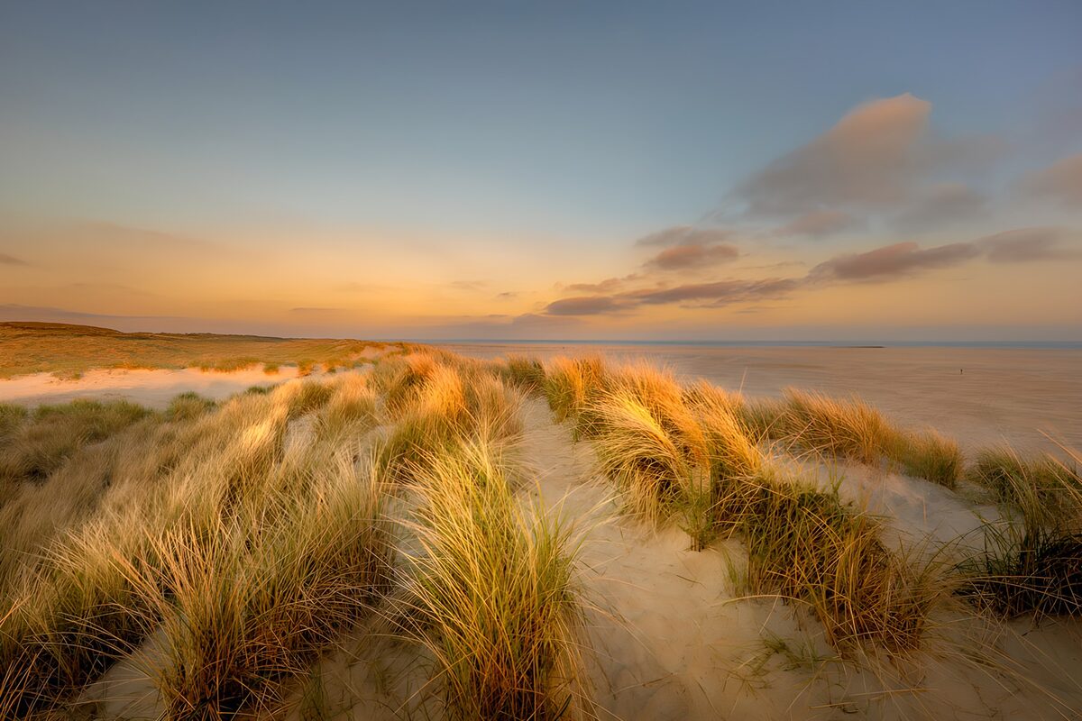 Zonsopgang boven de duinen