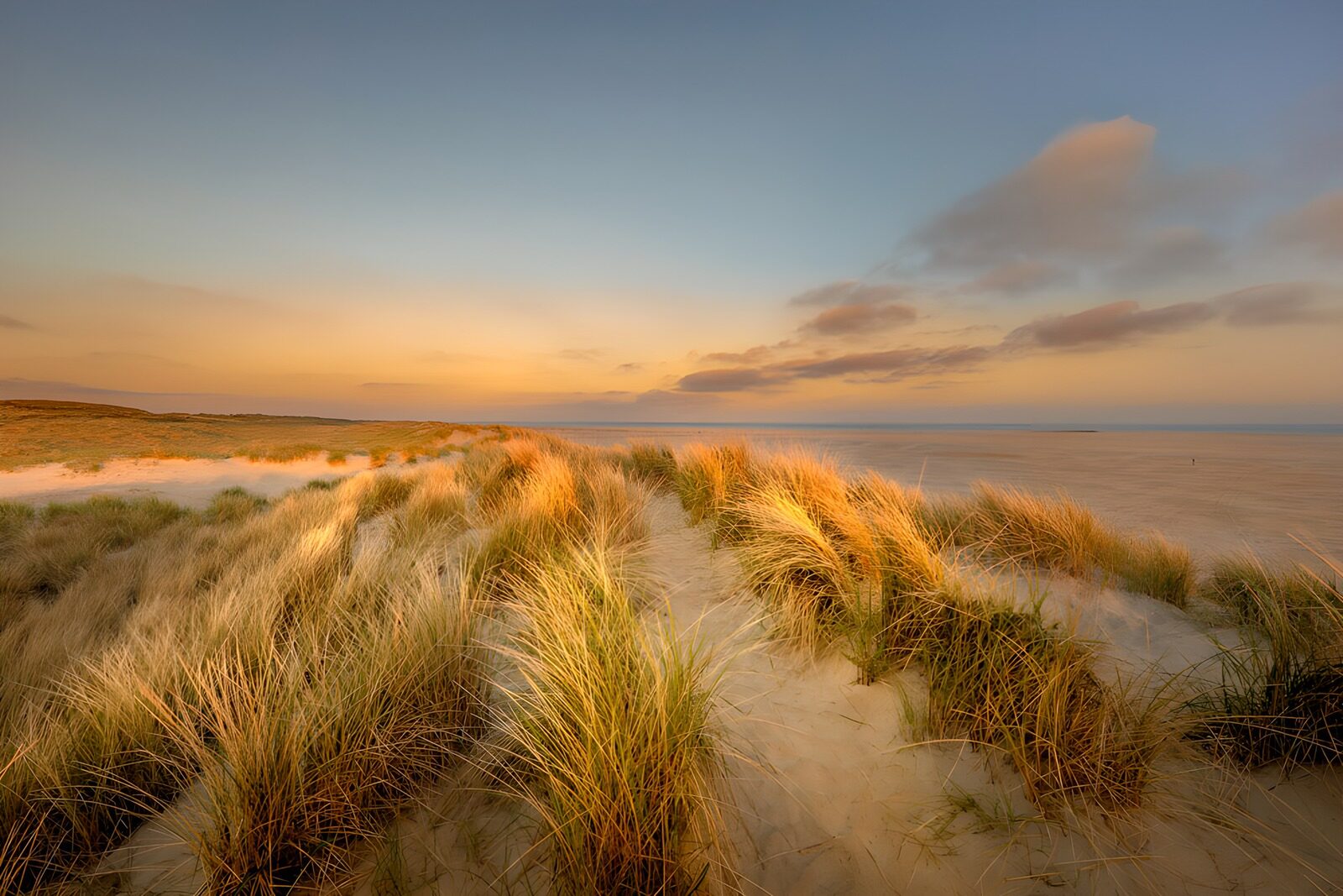 CW7338275: Zonsopgang boven de duinen
