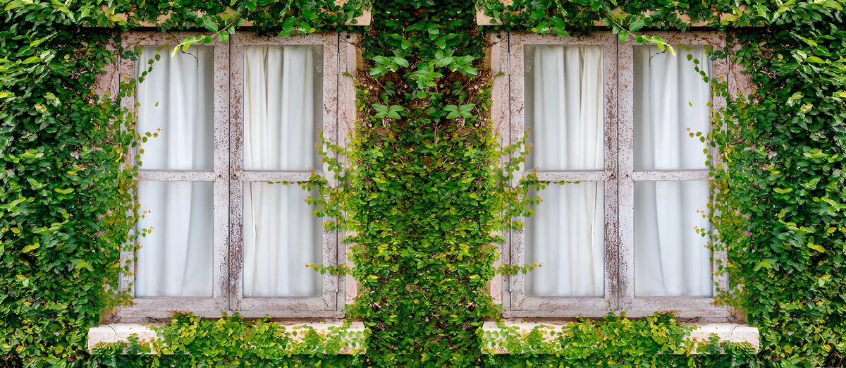 Groene vensters omarmd door natuur