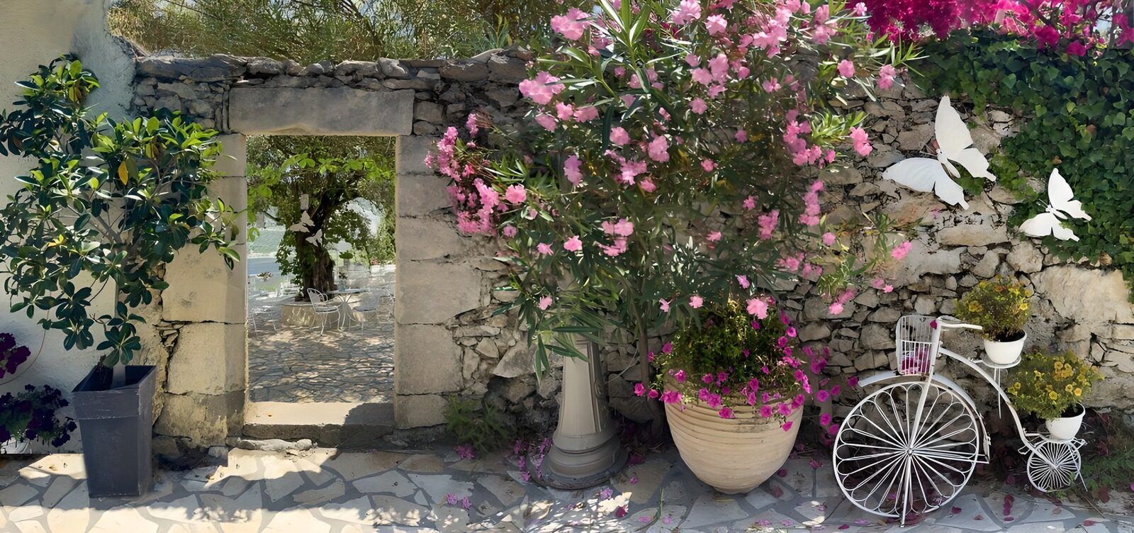 CW9308775: Betoverende tuin met bloemen en vlinders