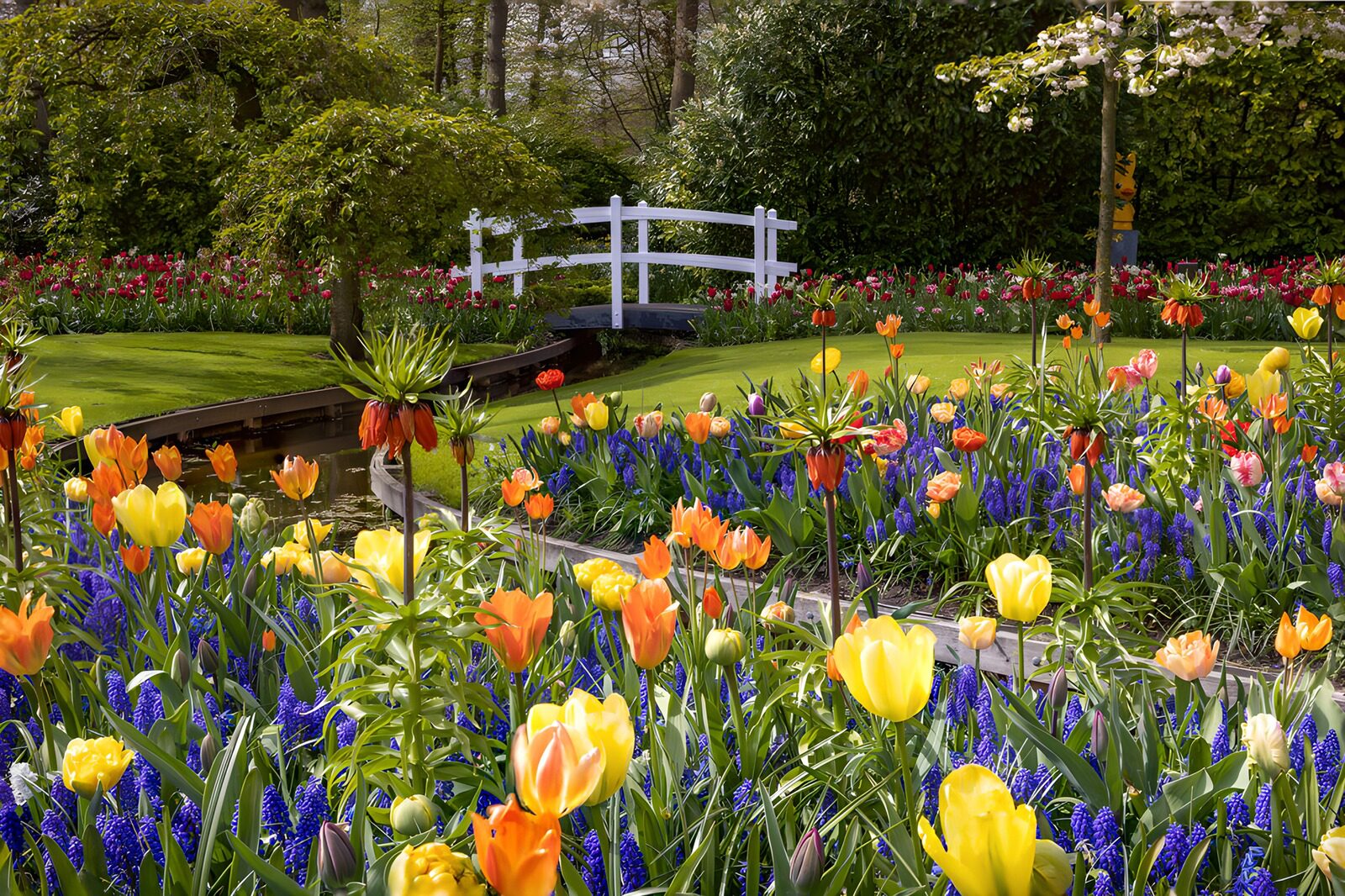 CW9375143: Kleurrijke bloemenpracht met brug in de lente