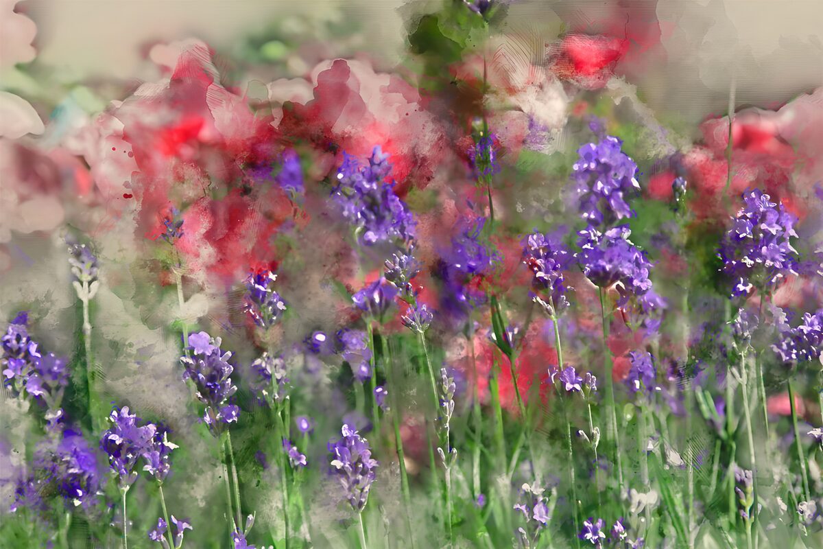 Prachtige paarse bloemen in bloei
