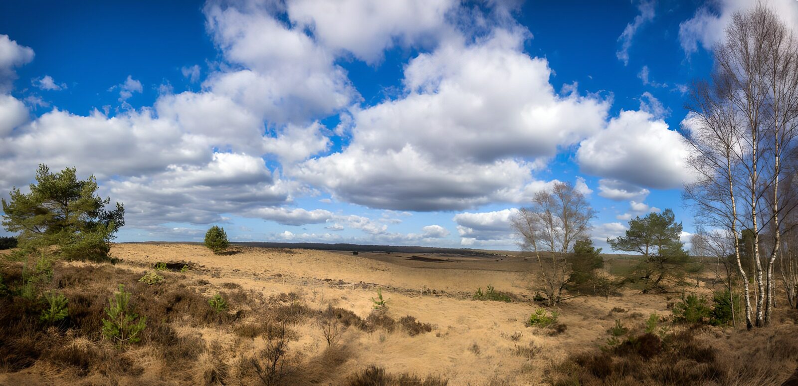 CW5299752: Prachtig landschap met wolkenhemel