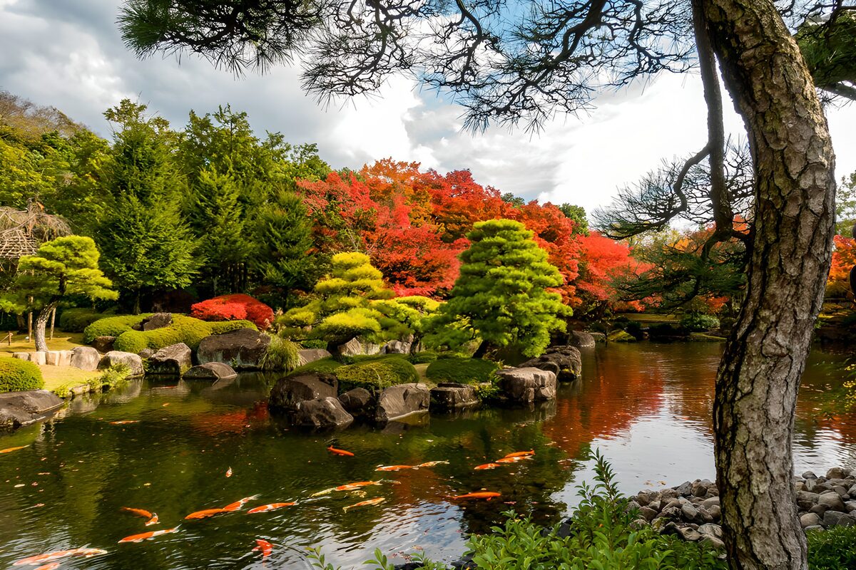 Kleurrijke Japanse tuin met vijver