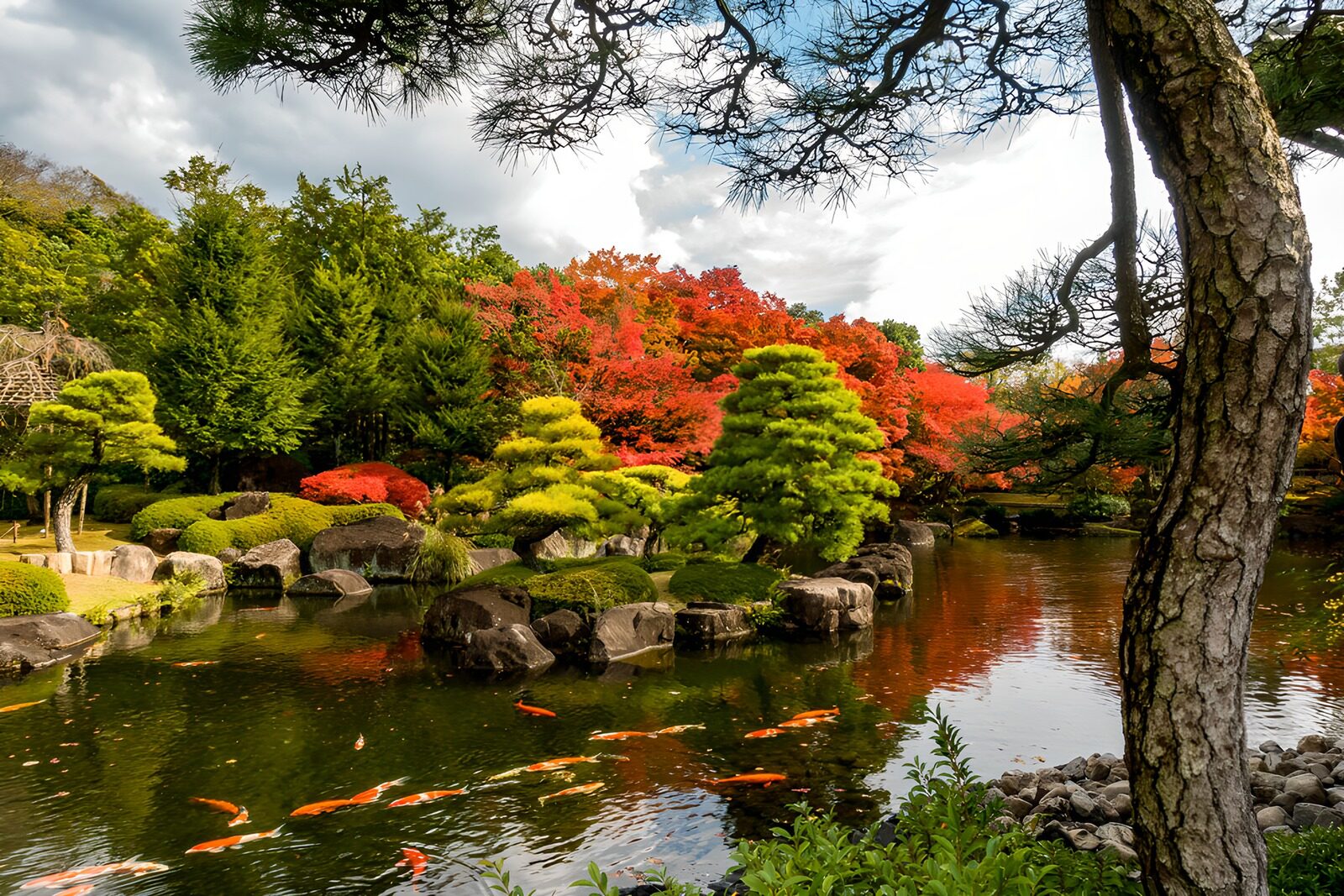 CW8016350: Kleurrijke Japanse tuin met vijver