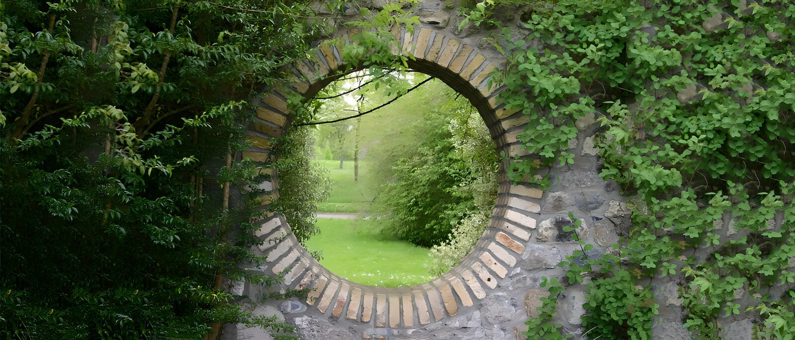 CW7063522: Groene doorgang in natuur